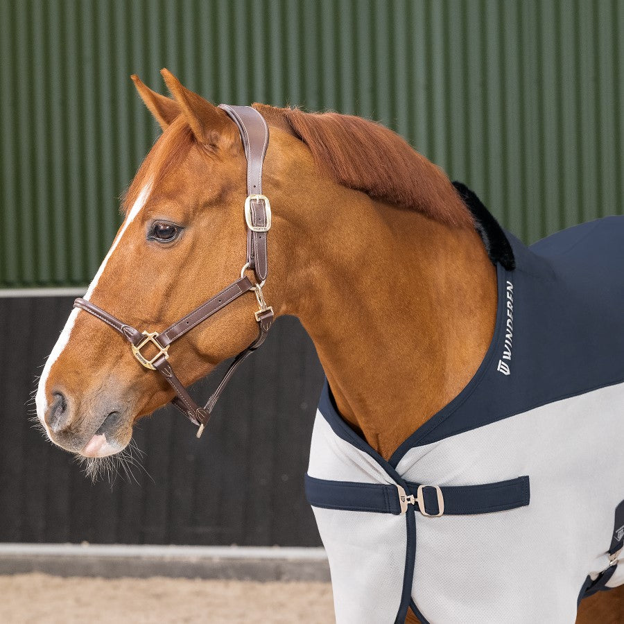 Winderen transportdeken Navy/Grey