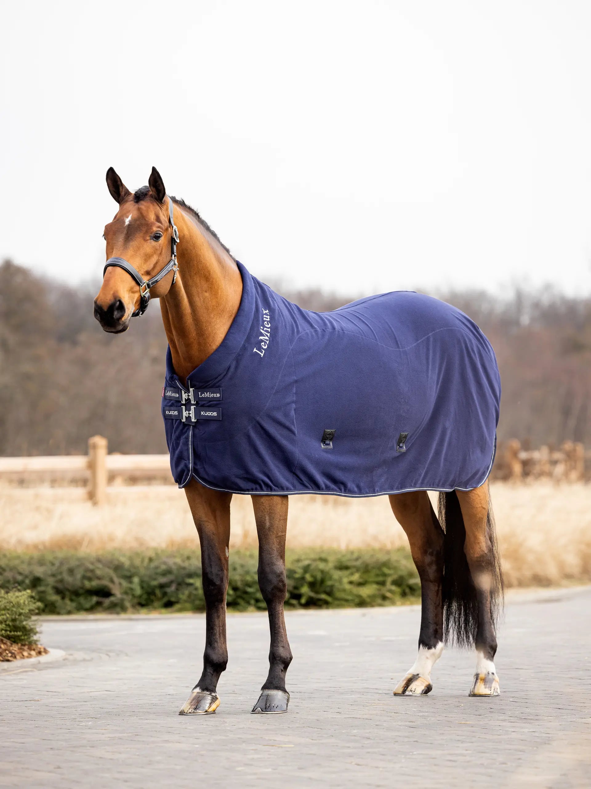 Kudos Fleece Cooler Rug Navy
