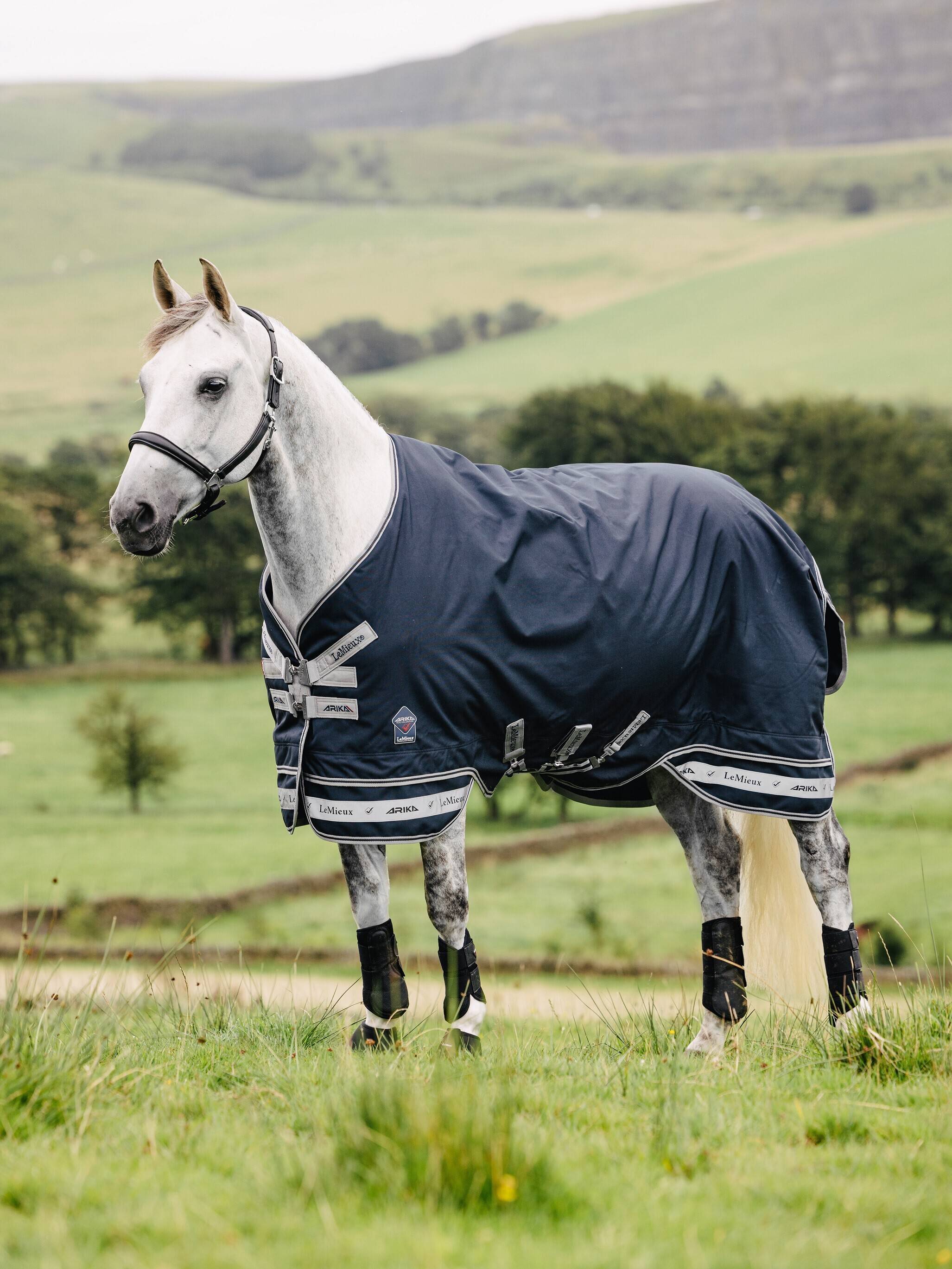 Arika Featherweight Rug 0g Navy