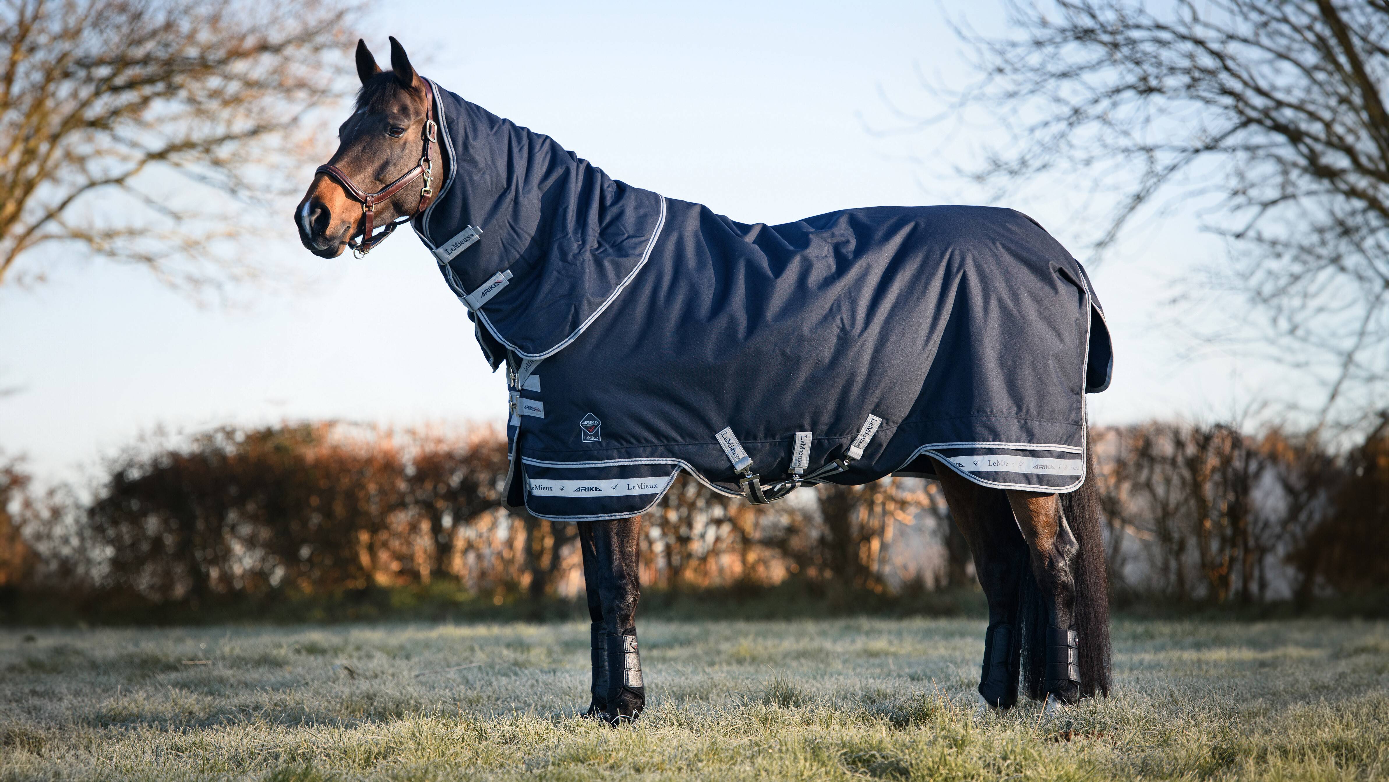 Arika Storm-Tek Rug 350g Navy