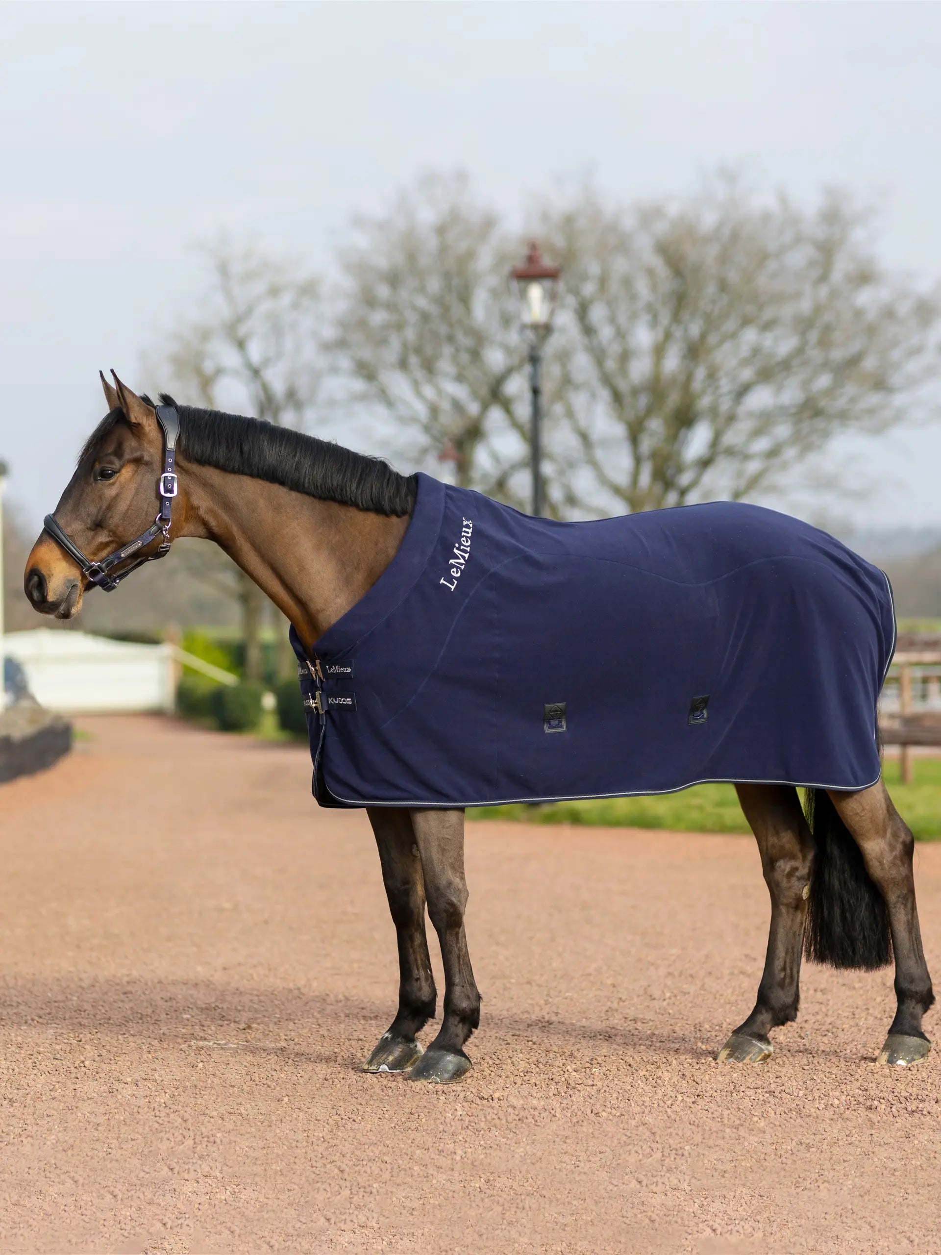 Kudos Fleece Cooler Rug Navy