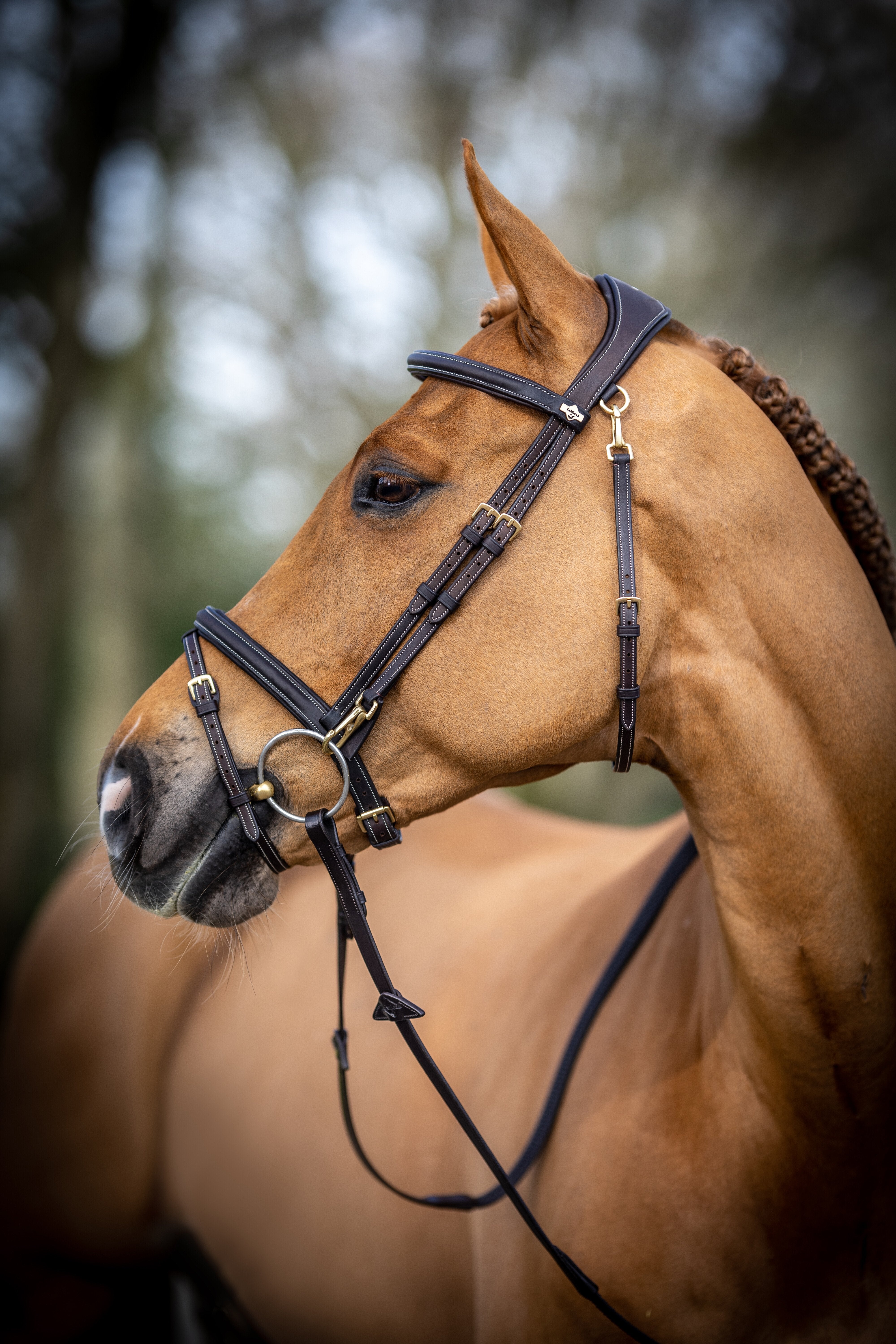 Kudos Work Hoofdstel Bruin