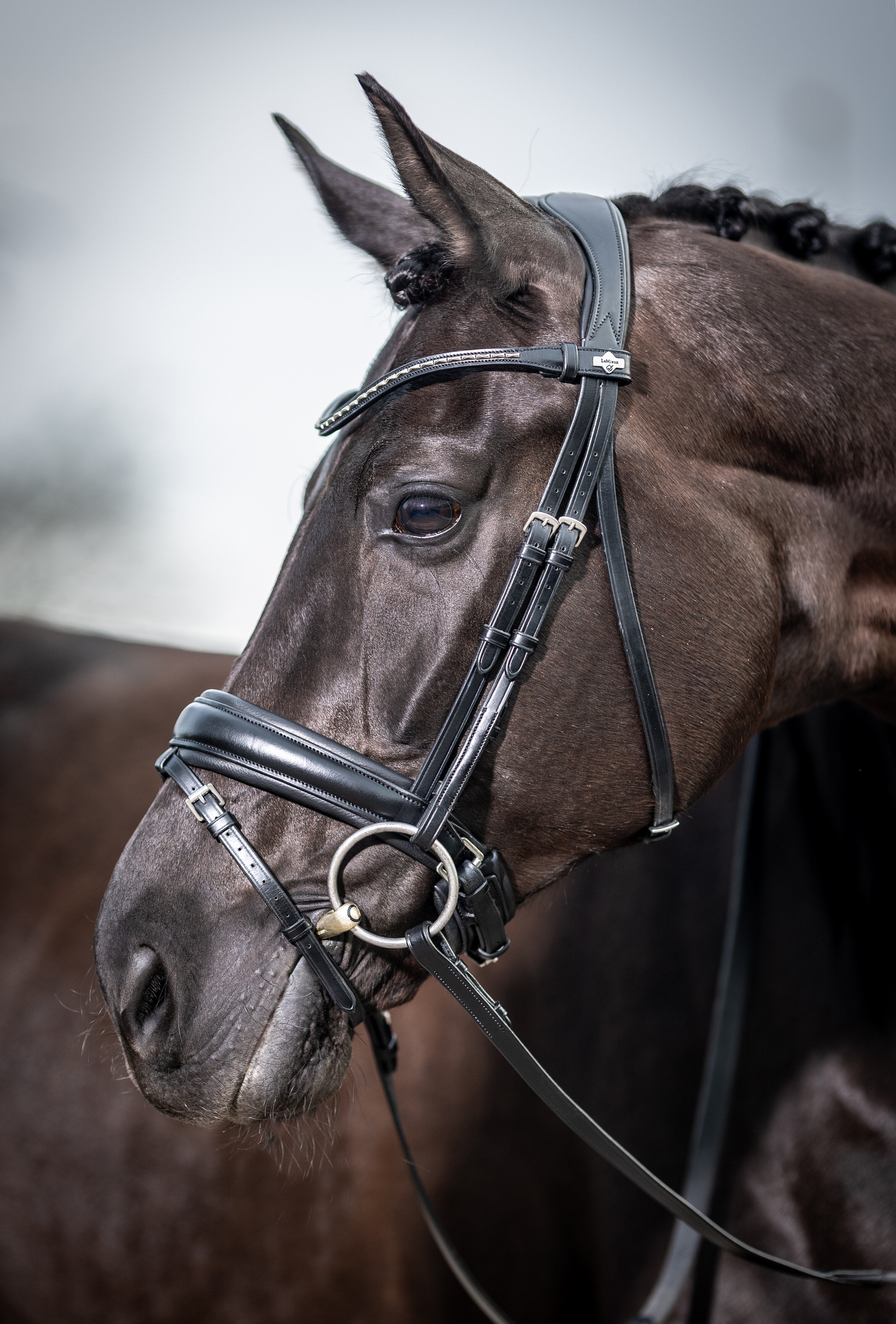 Kudos Classic Dressuur Hoofdstel Zwart