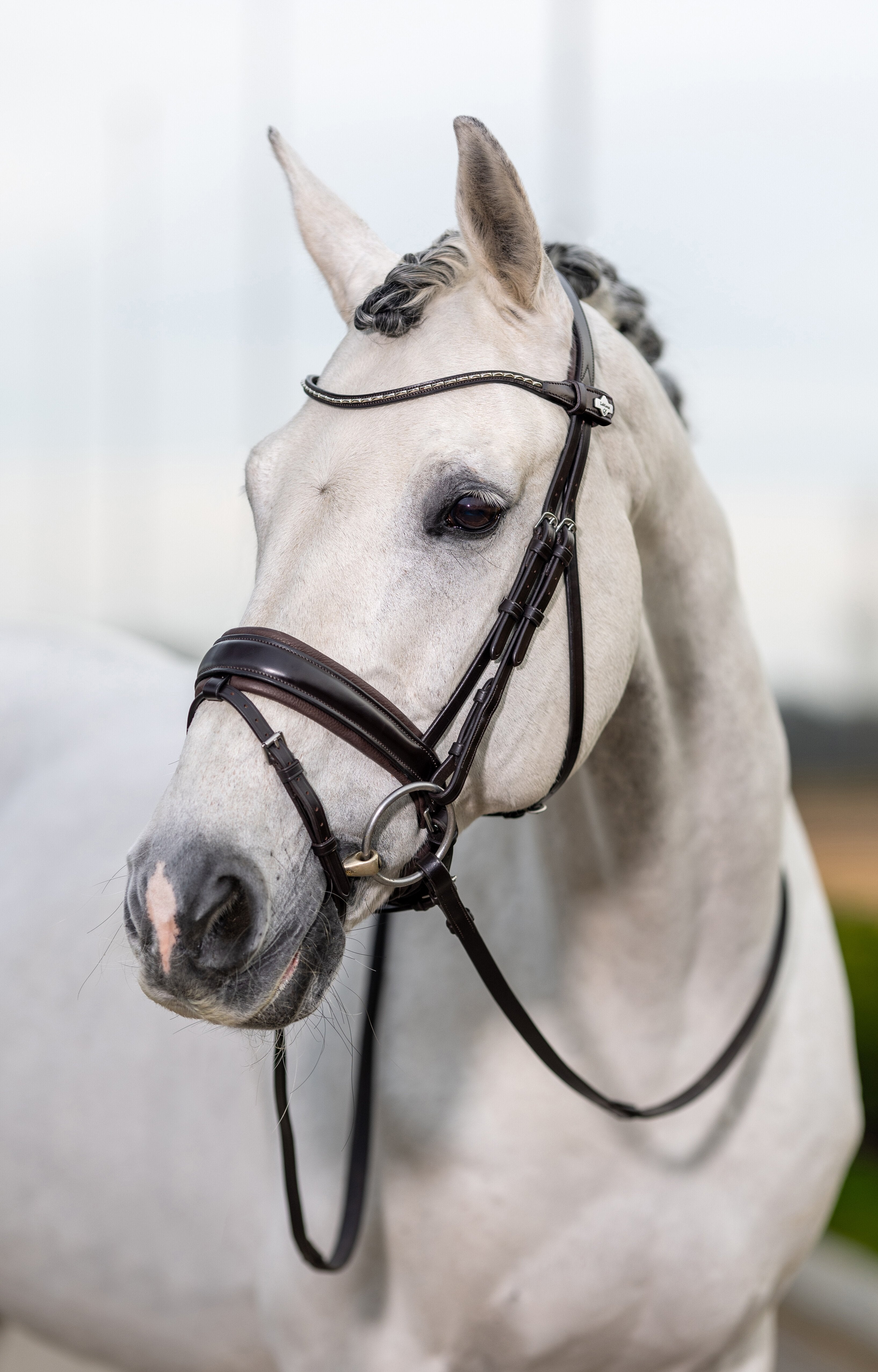 Kudos Classic Dressuur Hoofdstel Bruin