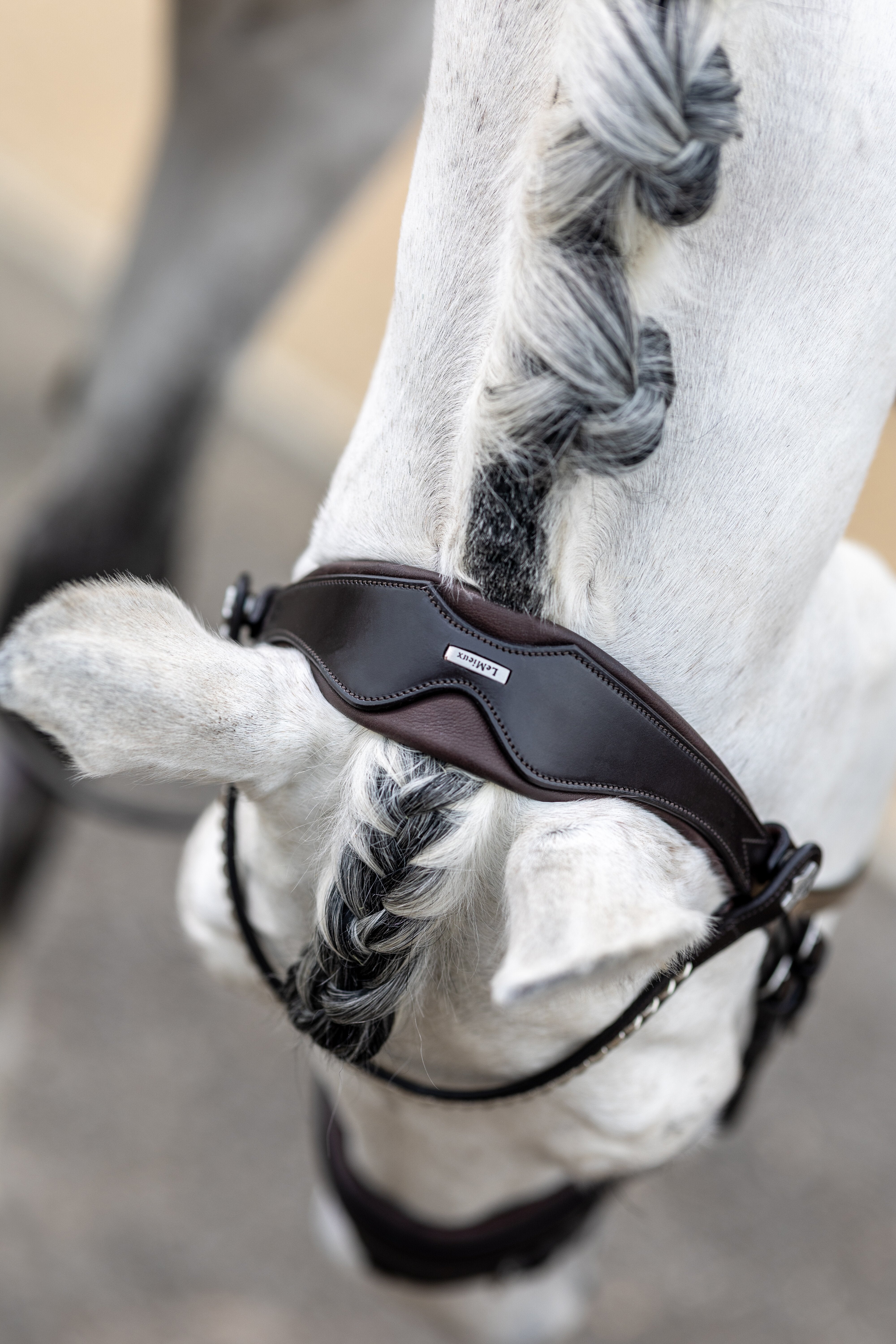 Kudos Classic Dressuur Hoofdstel Bruin