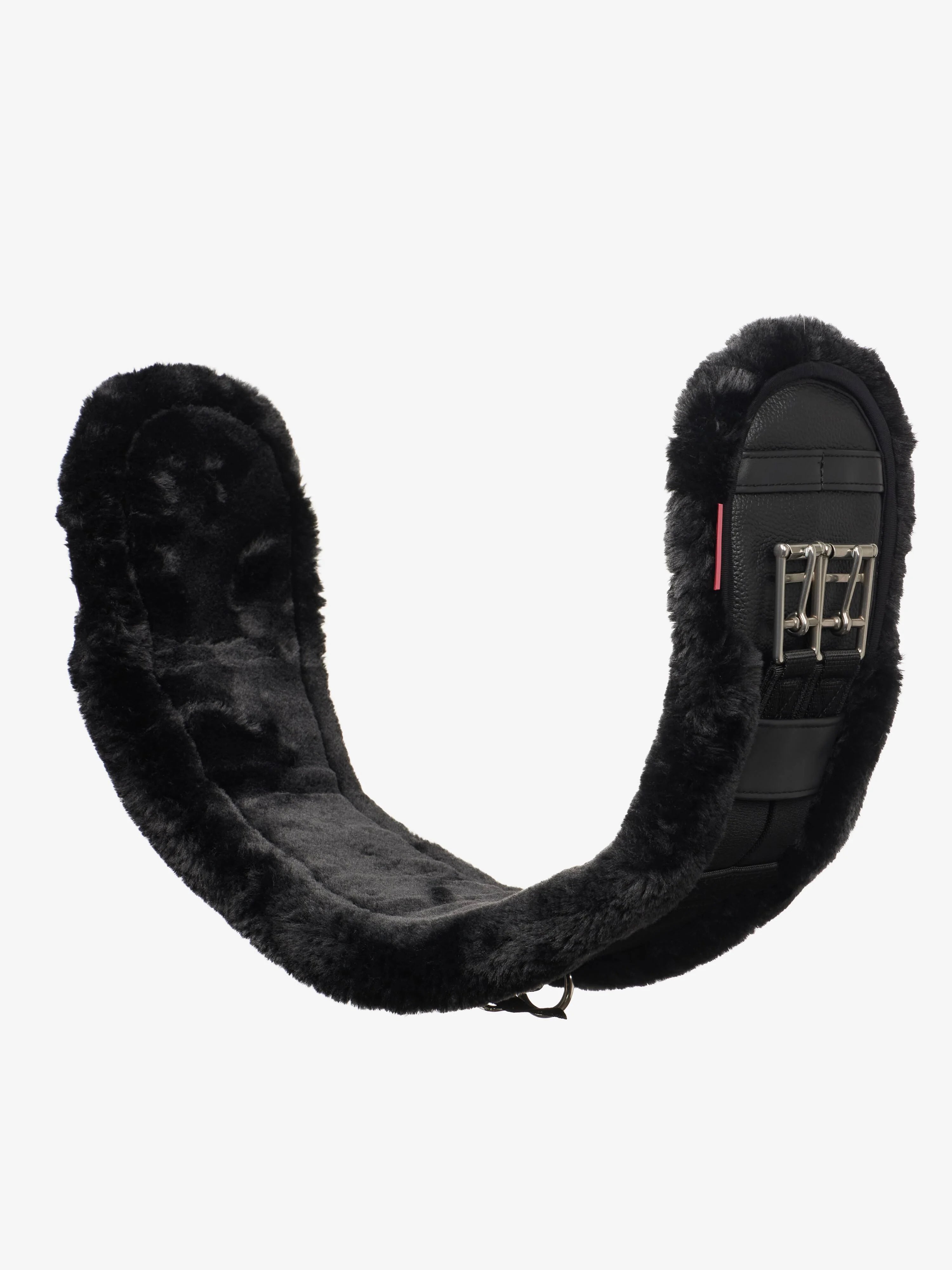 Integrated Dressage
