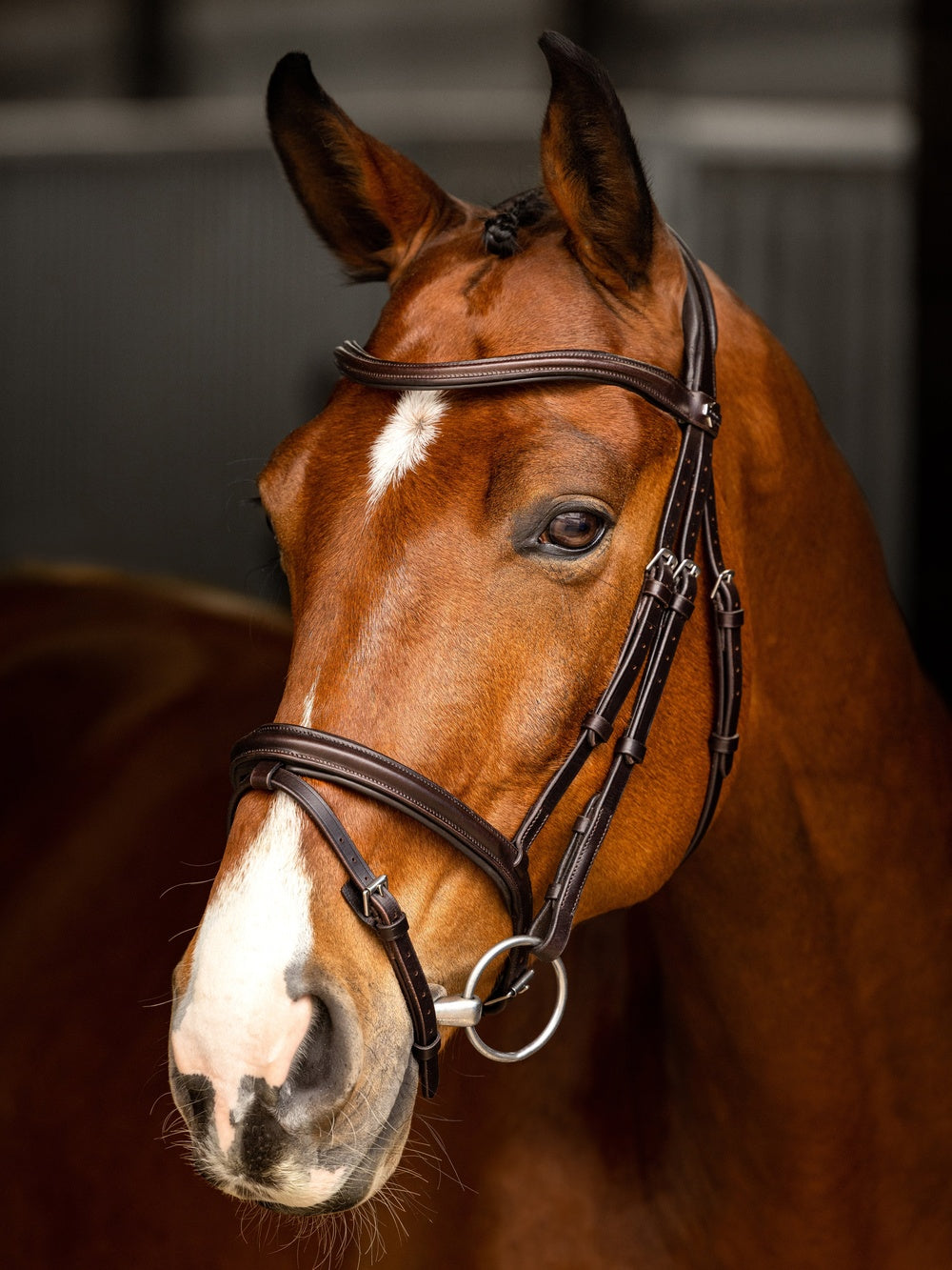 Arika Flash Hoofdstel Bruin/Zilver