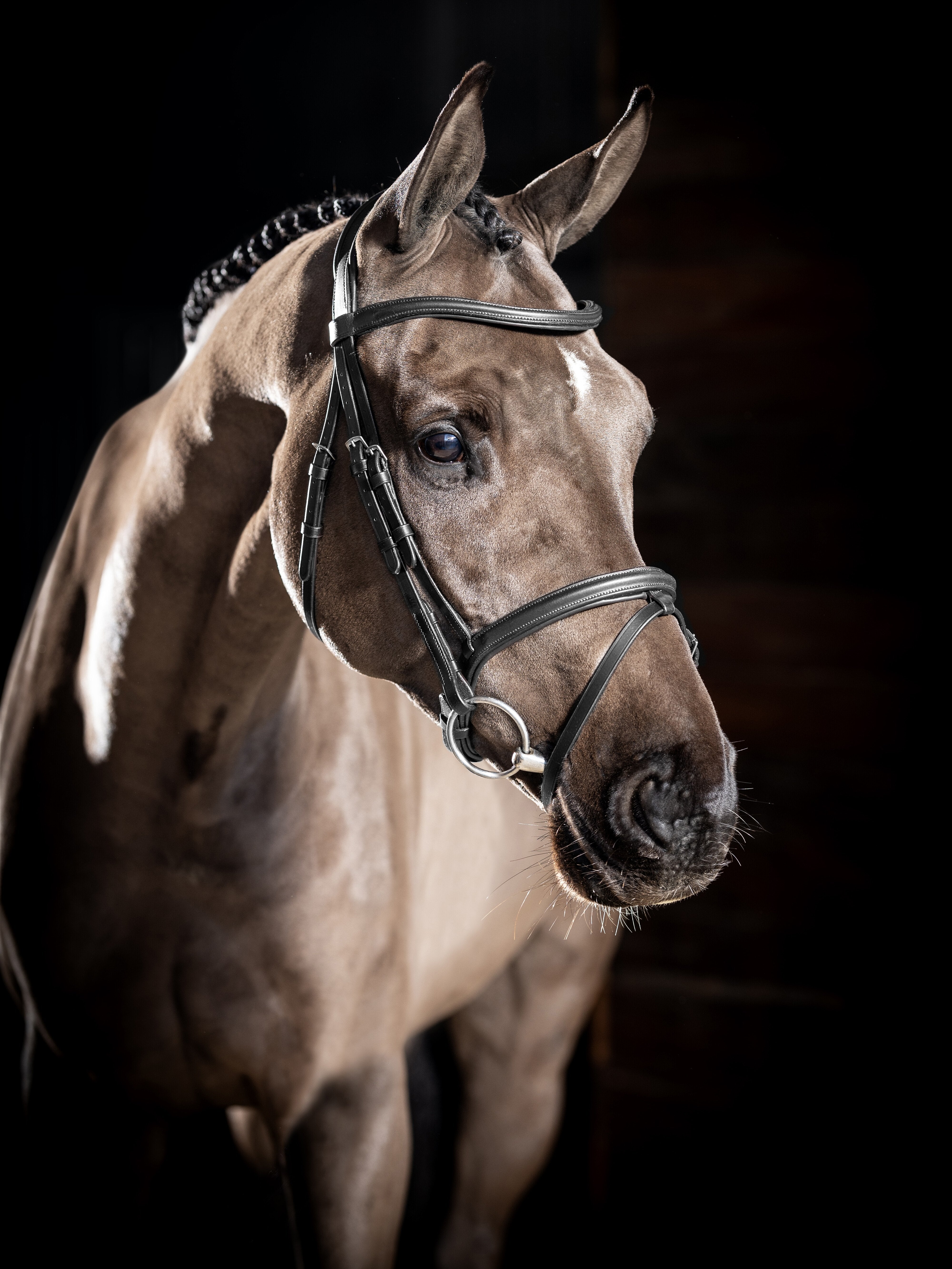 Arika Flash Hoofdstel Zwart/Zilver