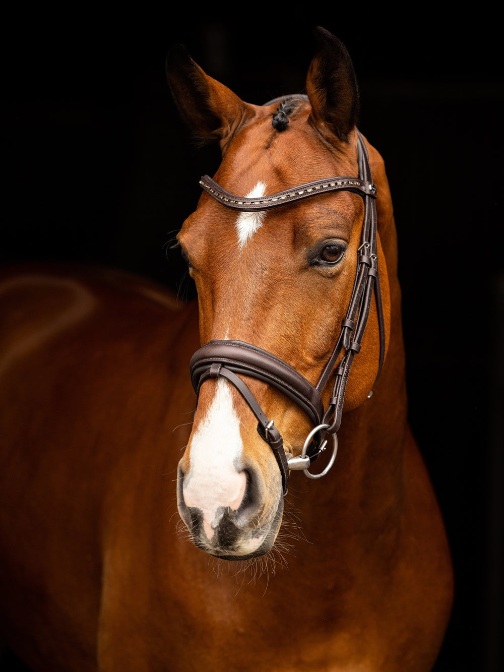 Arika Dressuur Hoofdstel Bruin/Zilver