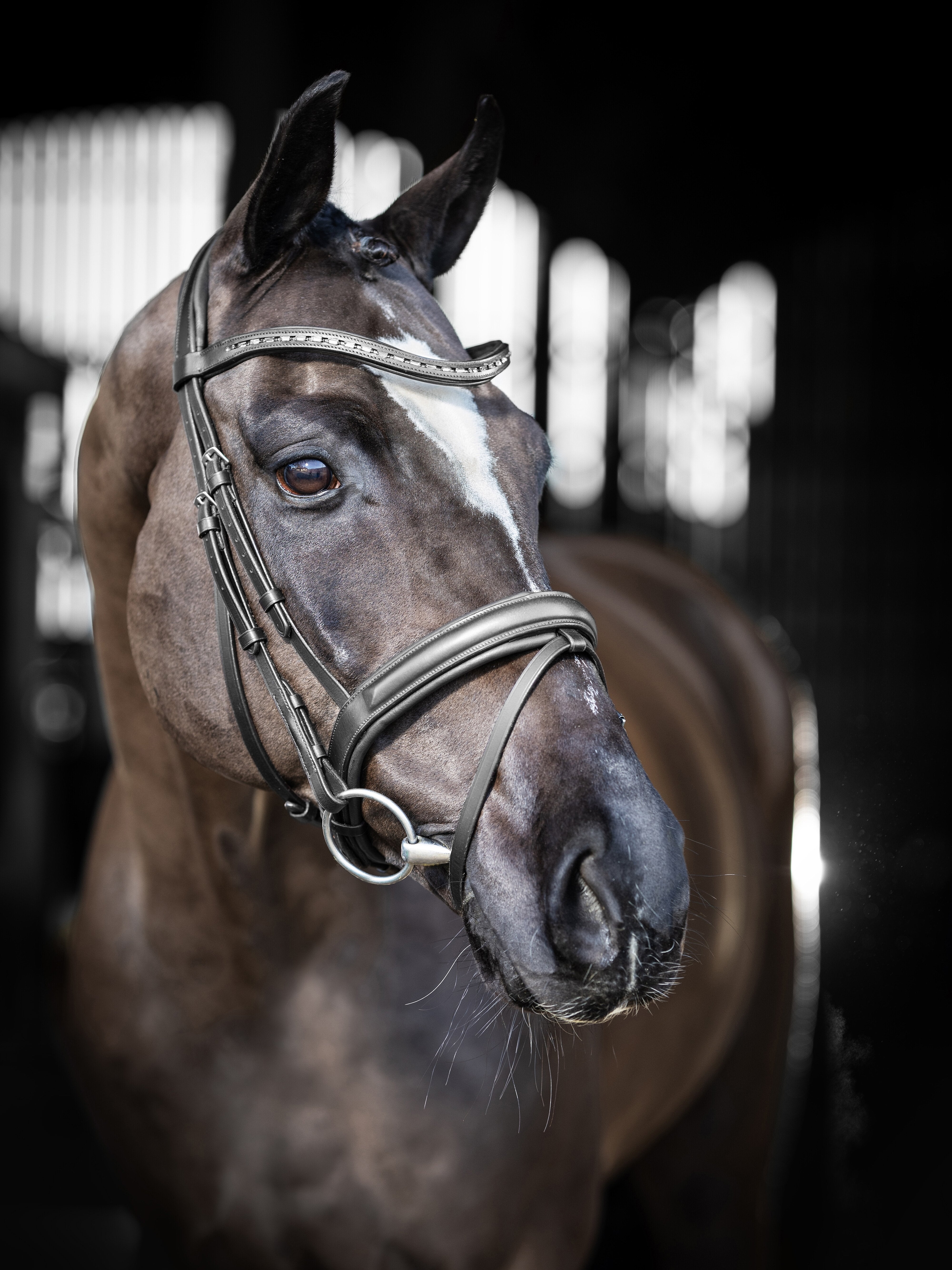Arika Dressage Hoofdstel Zwart/Zilver