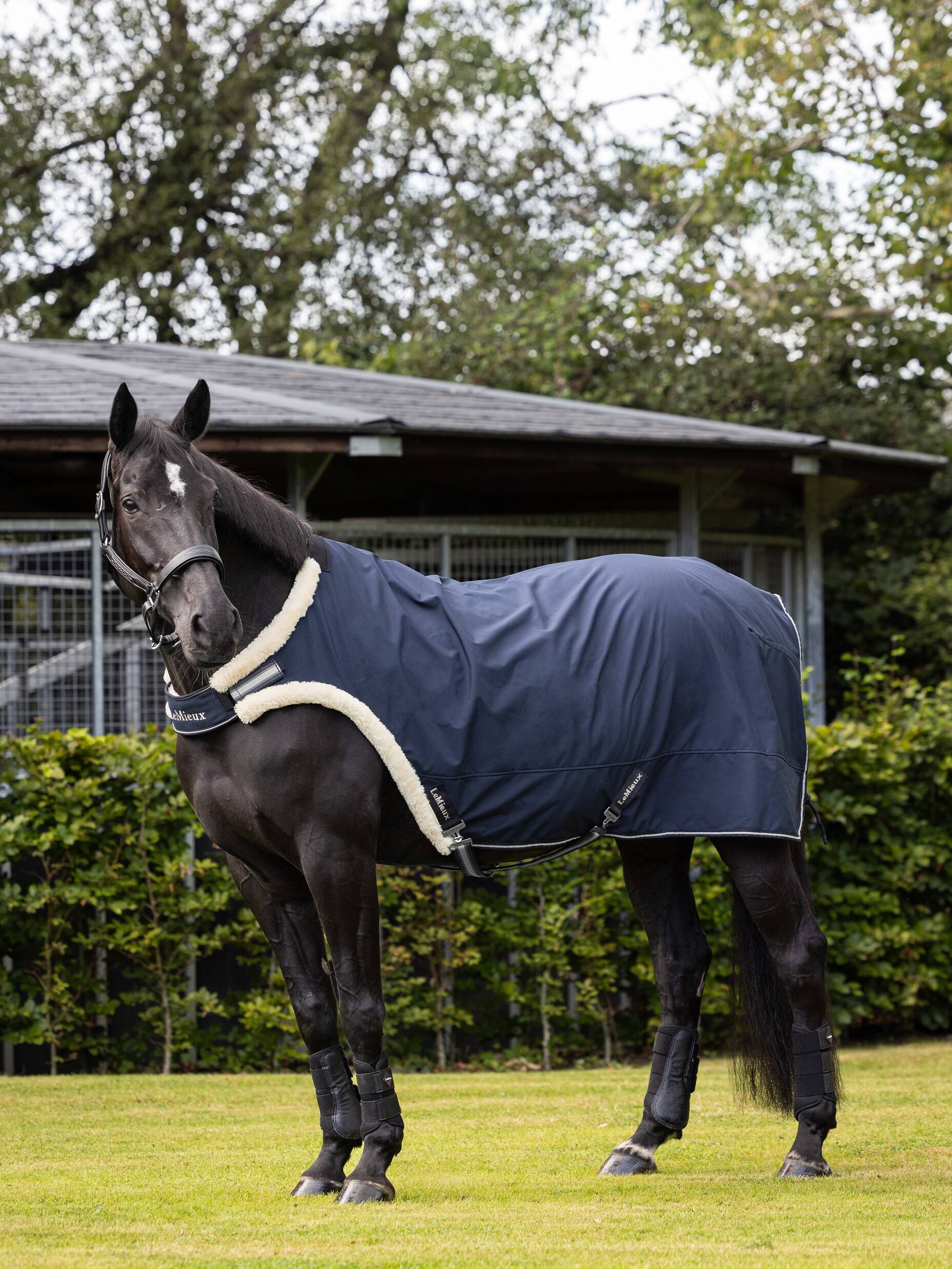 Walker Rug Navy