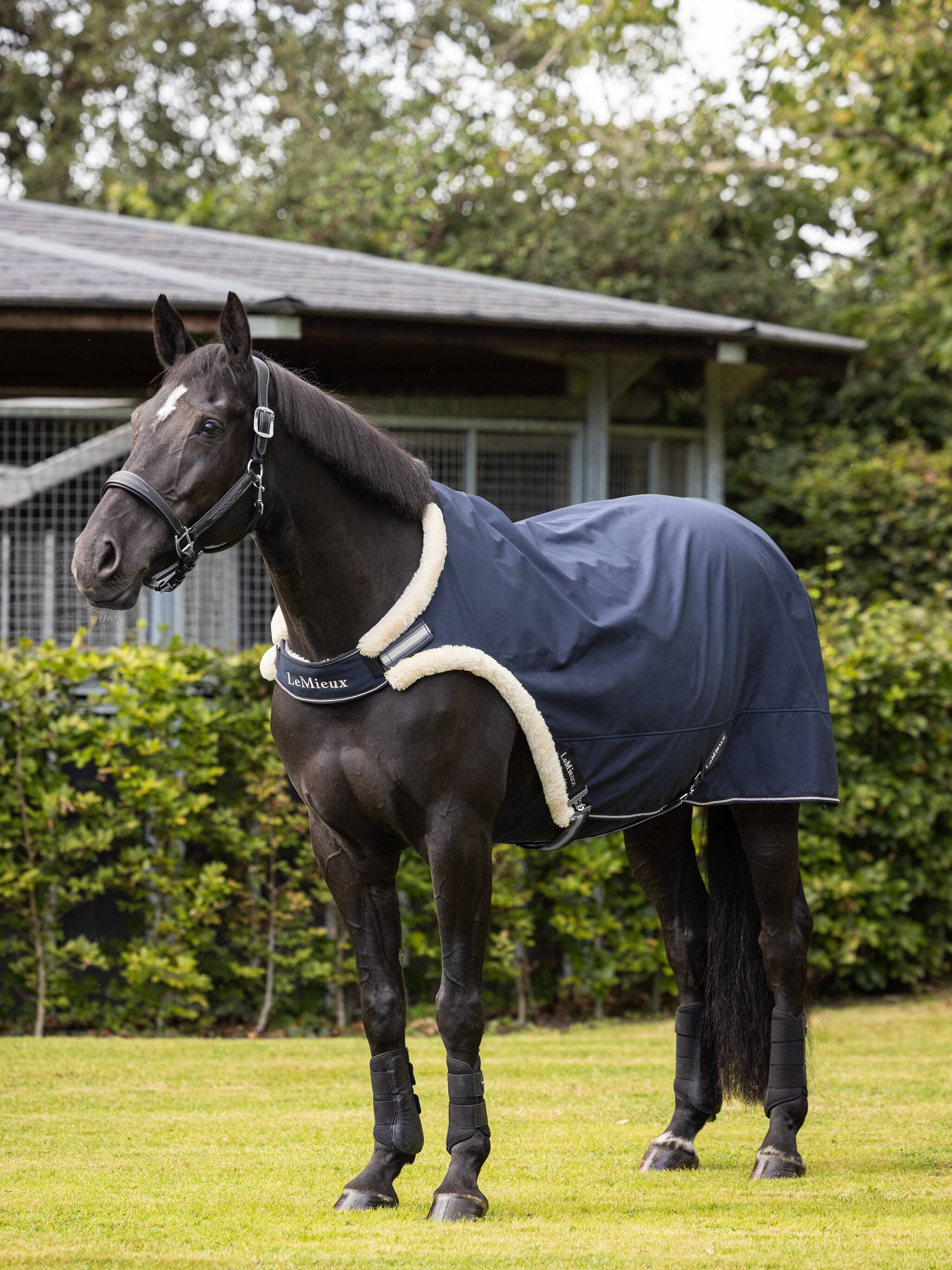 Walker Rug Navy