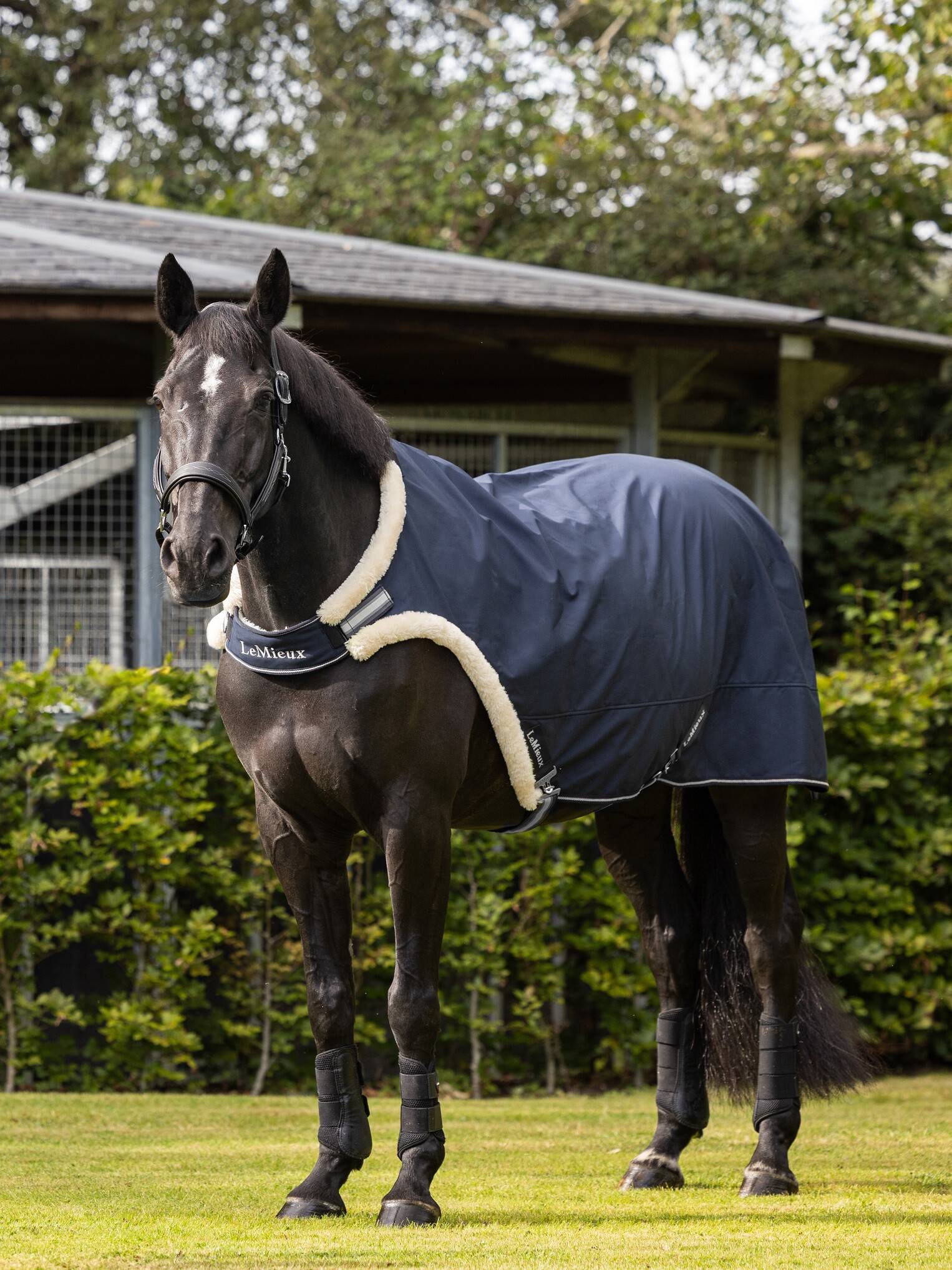 Walker Rug Navy