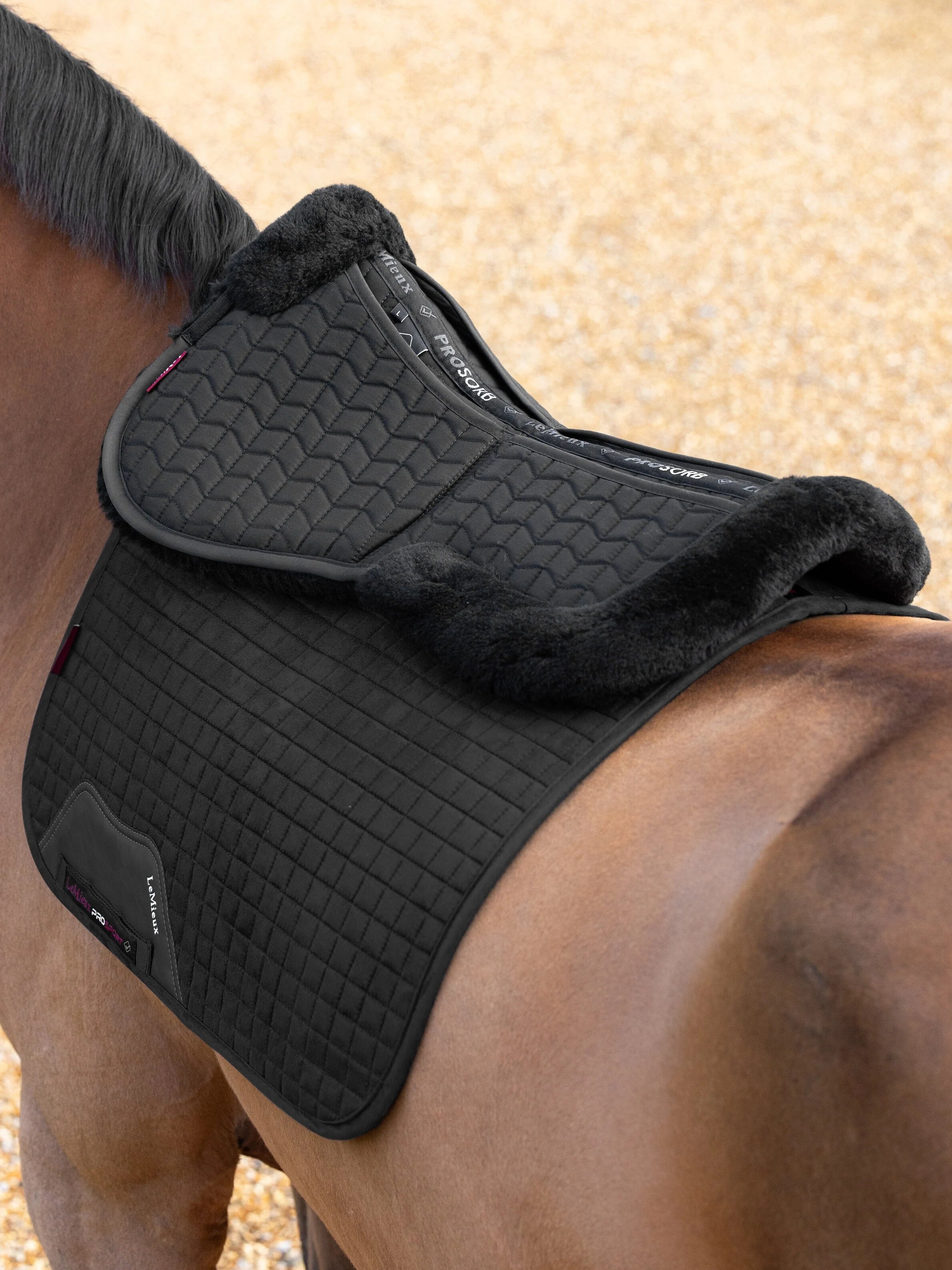 Merino+ ProSorb 2 Pocket Half Pad