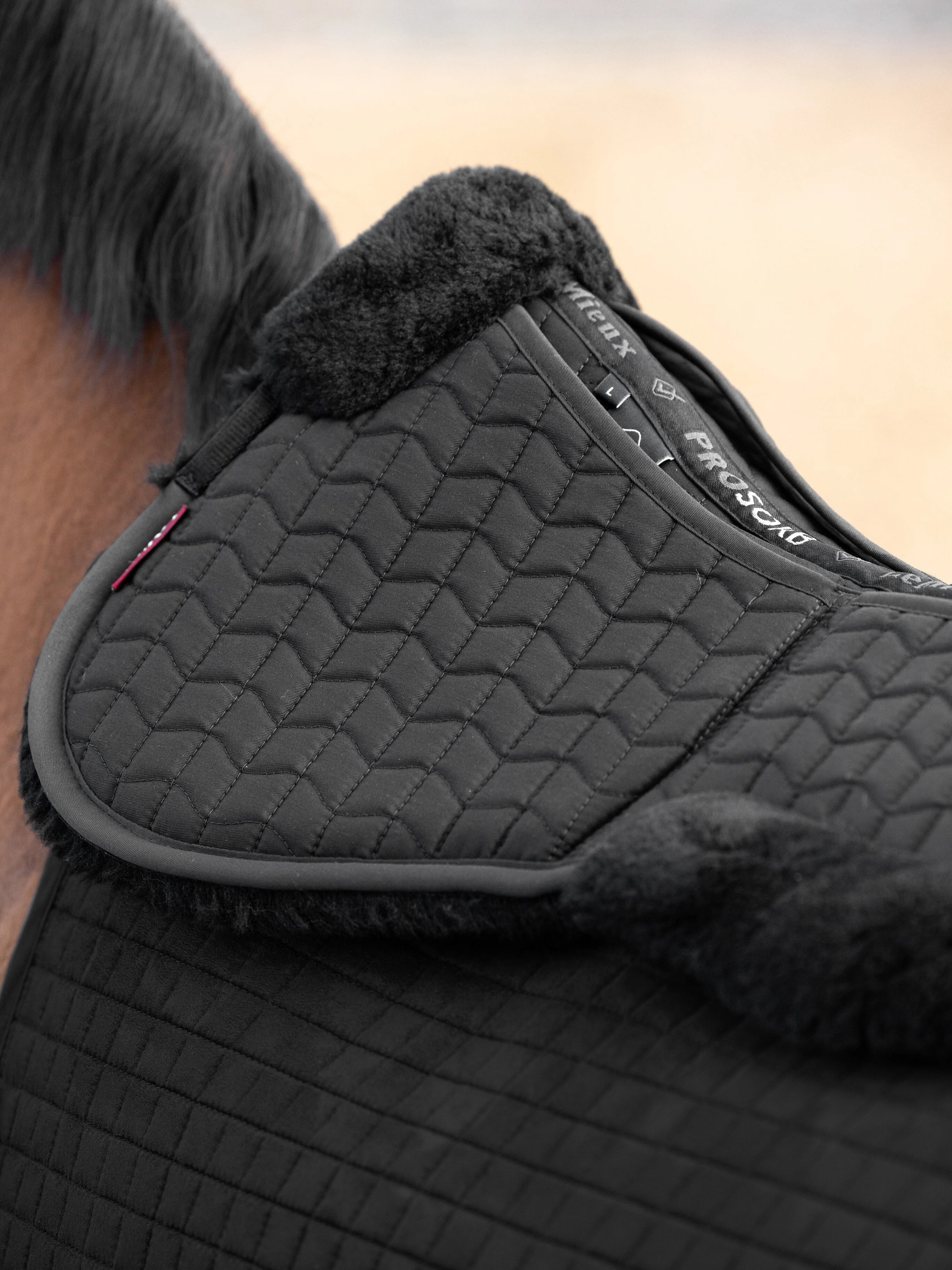 Merino+ ProSorb 2 Pocket Half Pad
