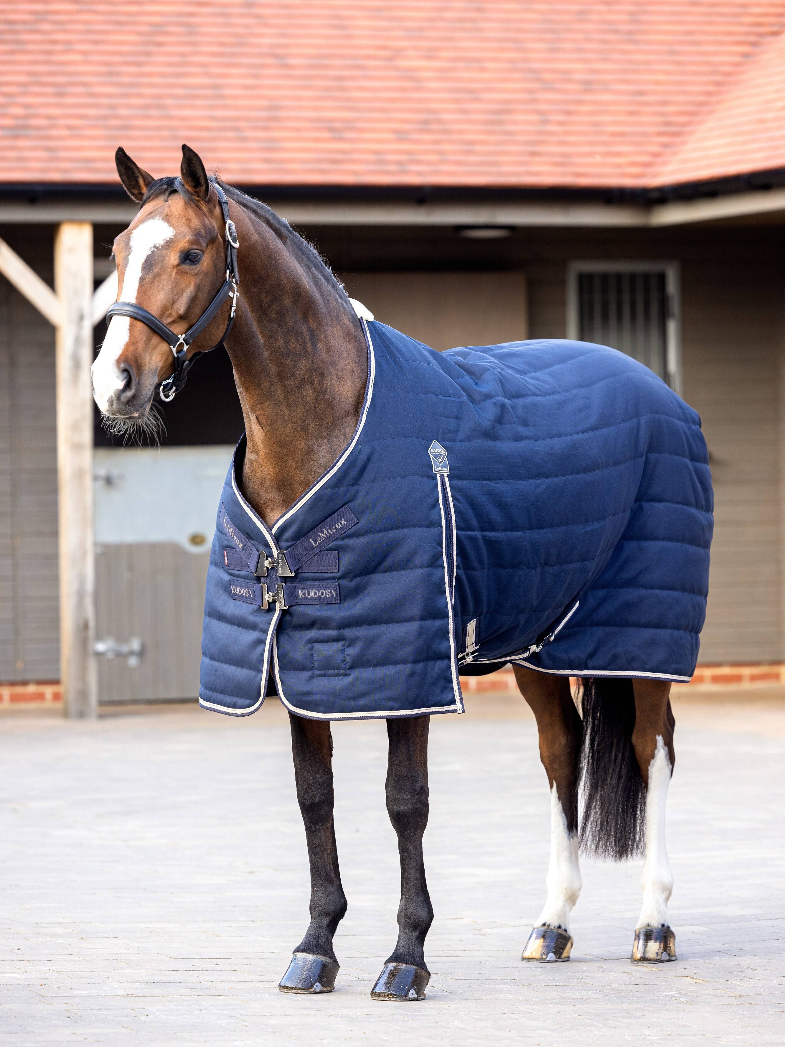 Kudos Staldeken 50 g Navy