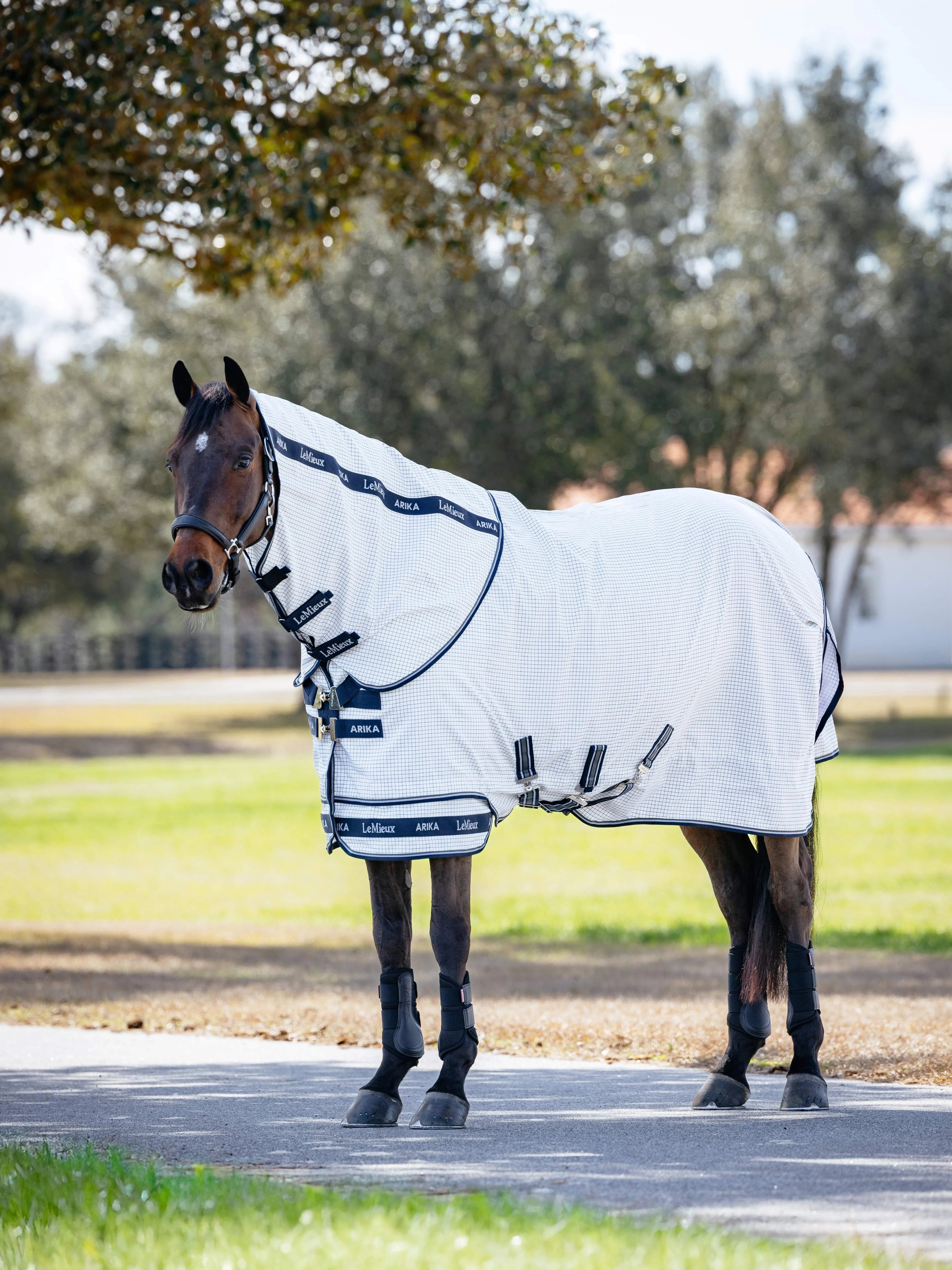 Arika Field Rug White