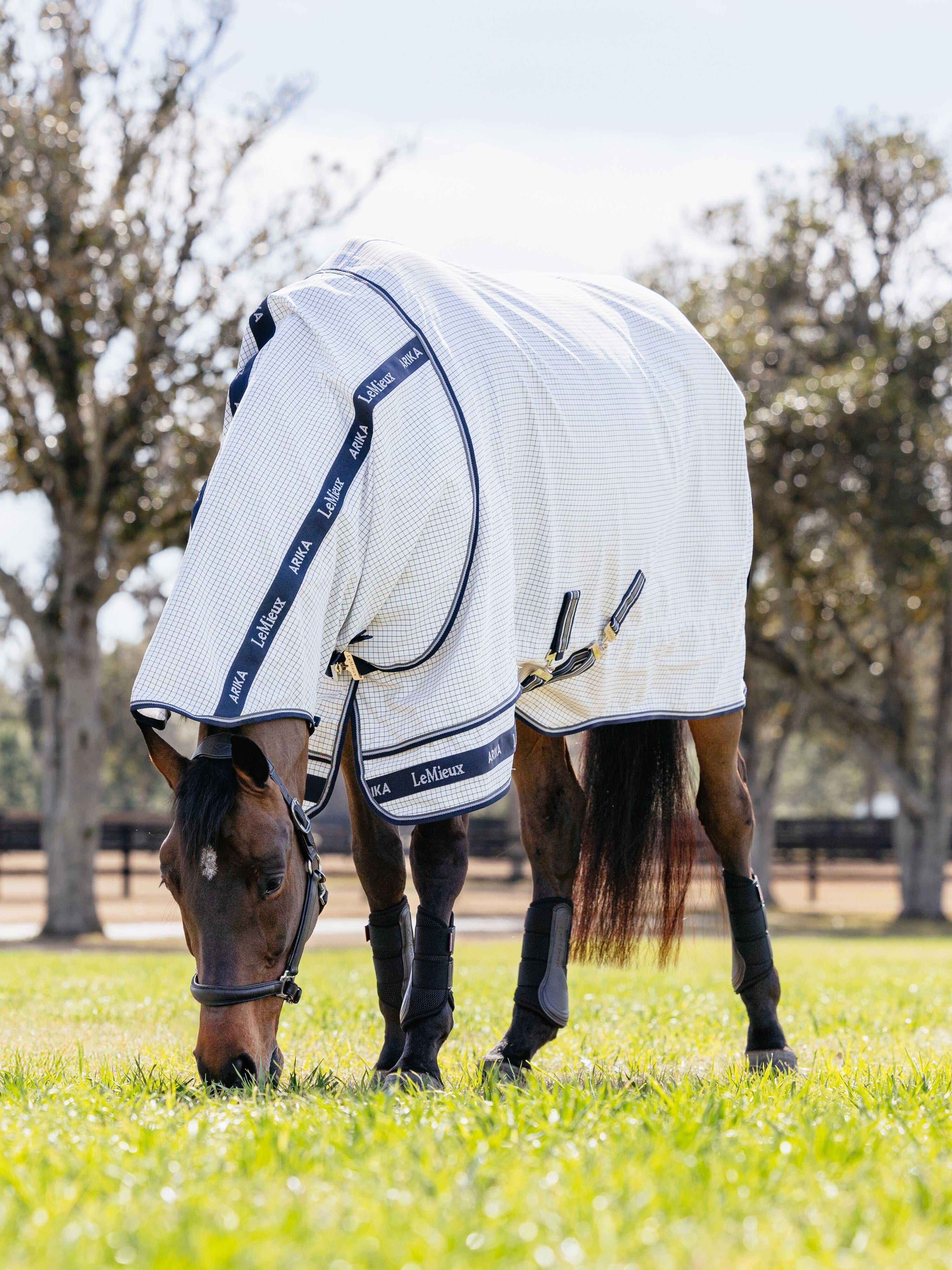 Arika Field Rug White