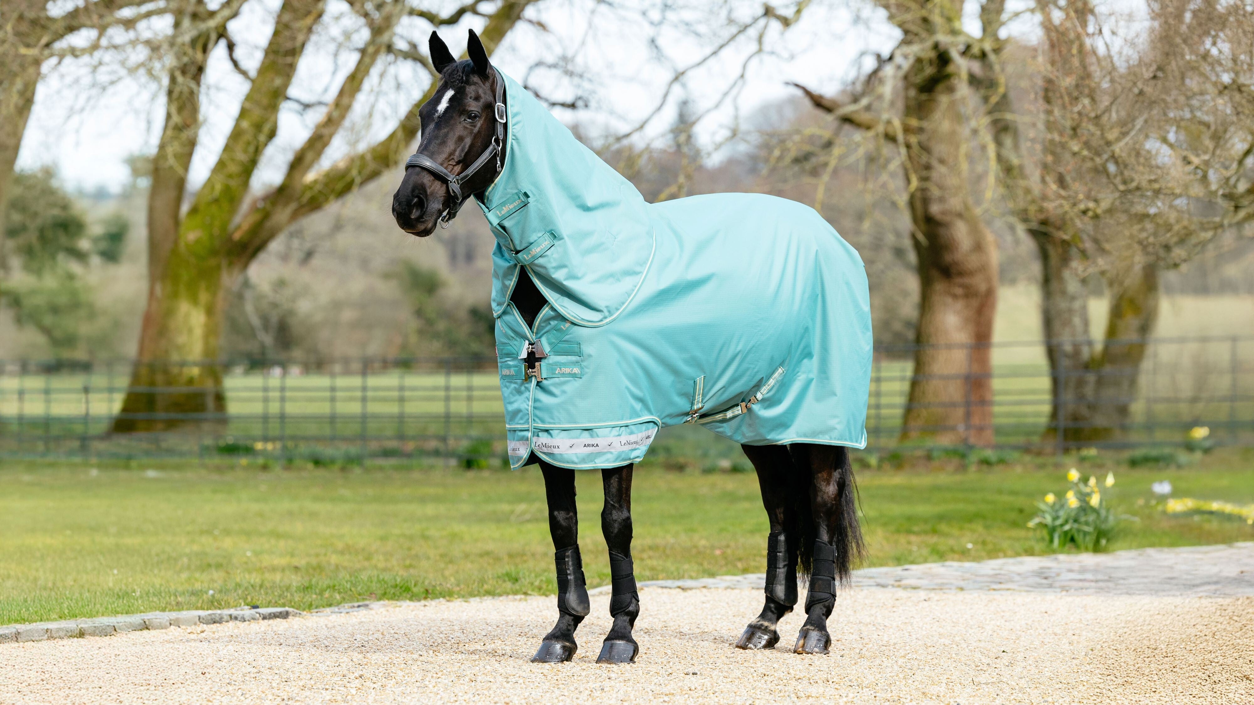 Arika Ripstop 50 g Turnout Deken Lagoon