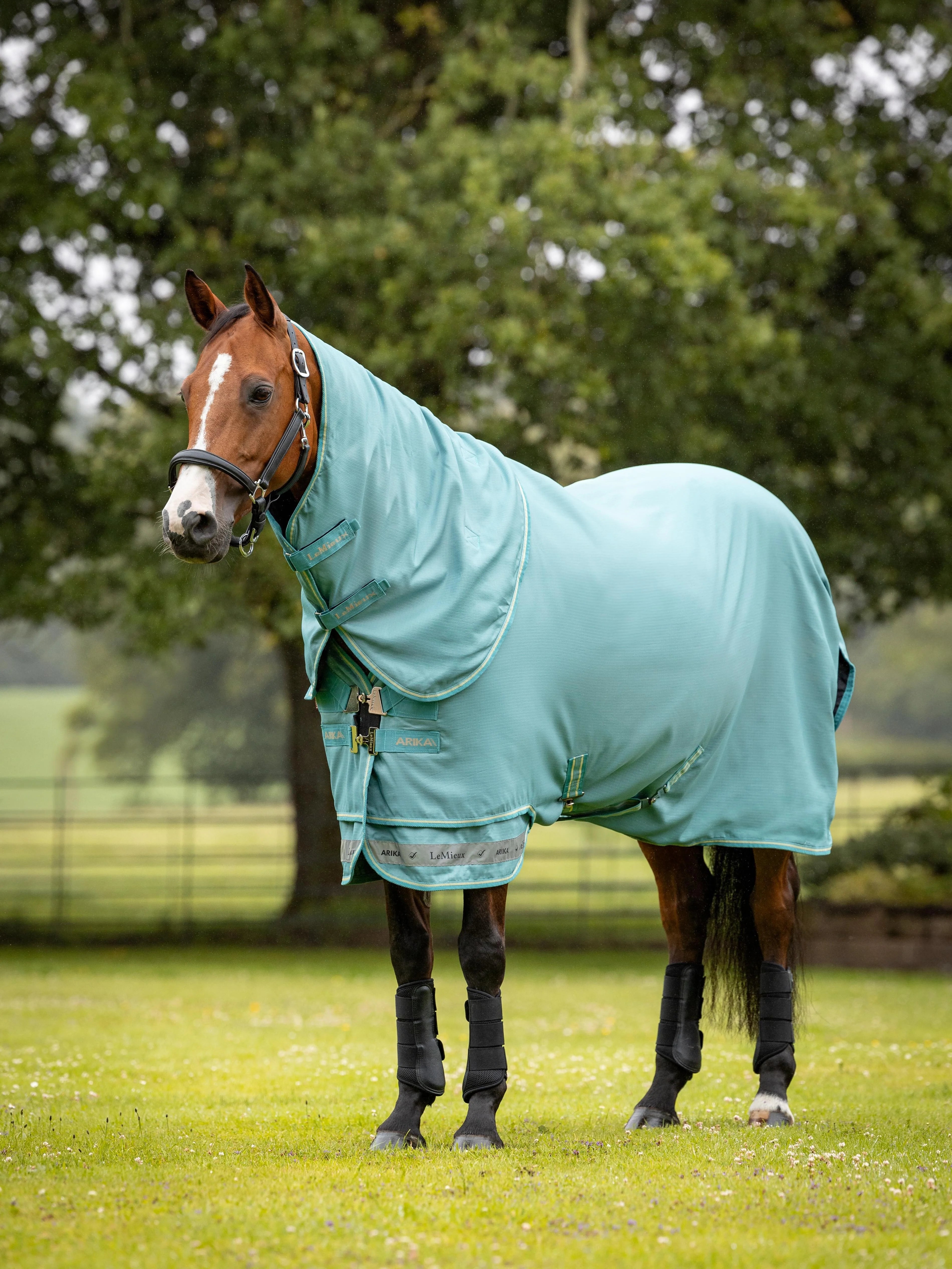 Arika Ripstop 50 g Turnout Deken Lagoon