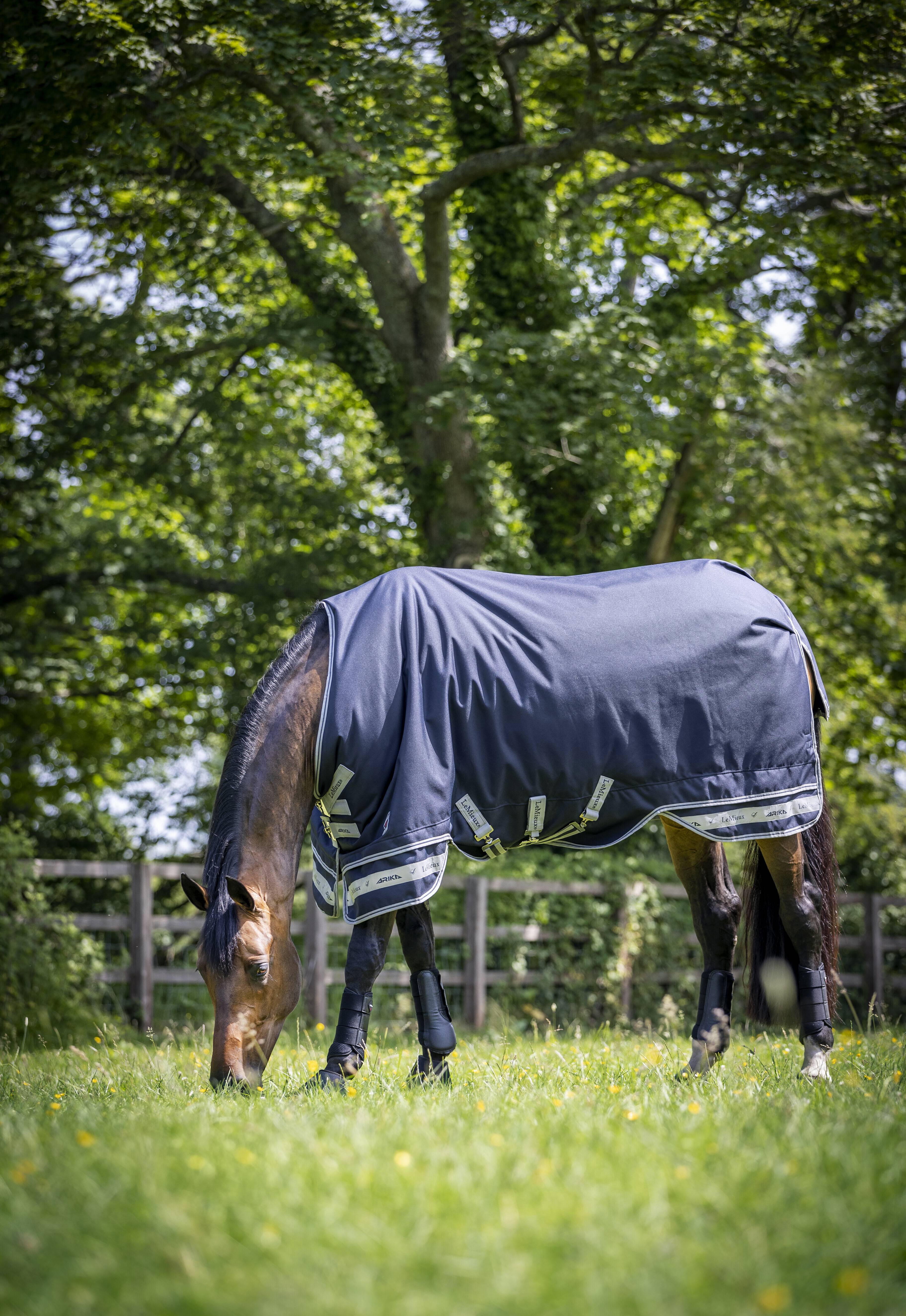Arika Featherweight Rug 0g Navy