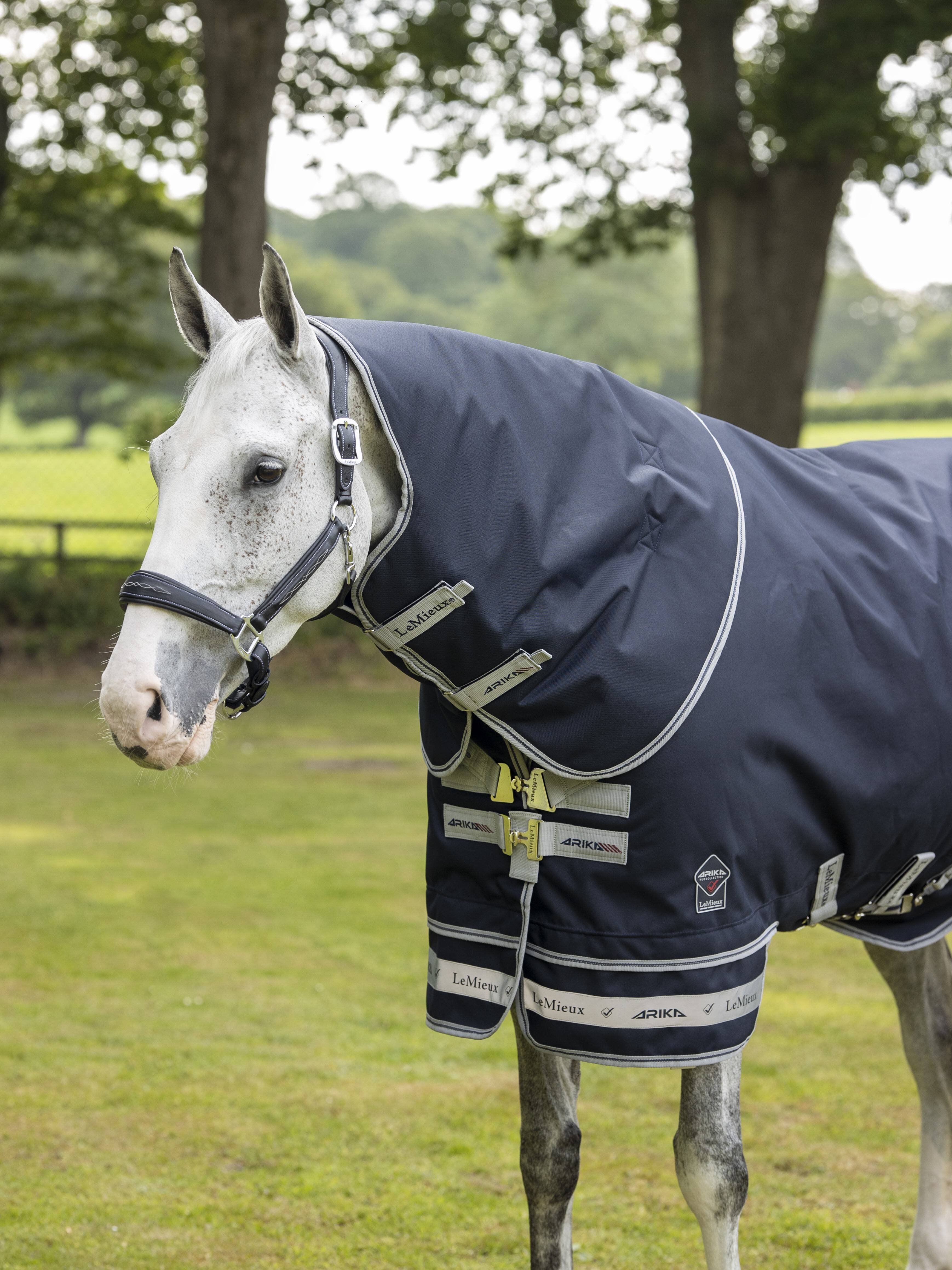 Arika Featherweight Rug 0g Navy