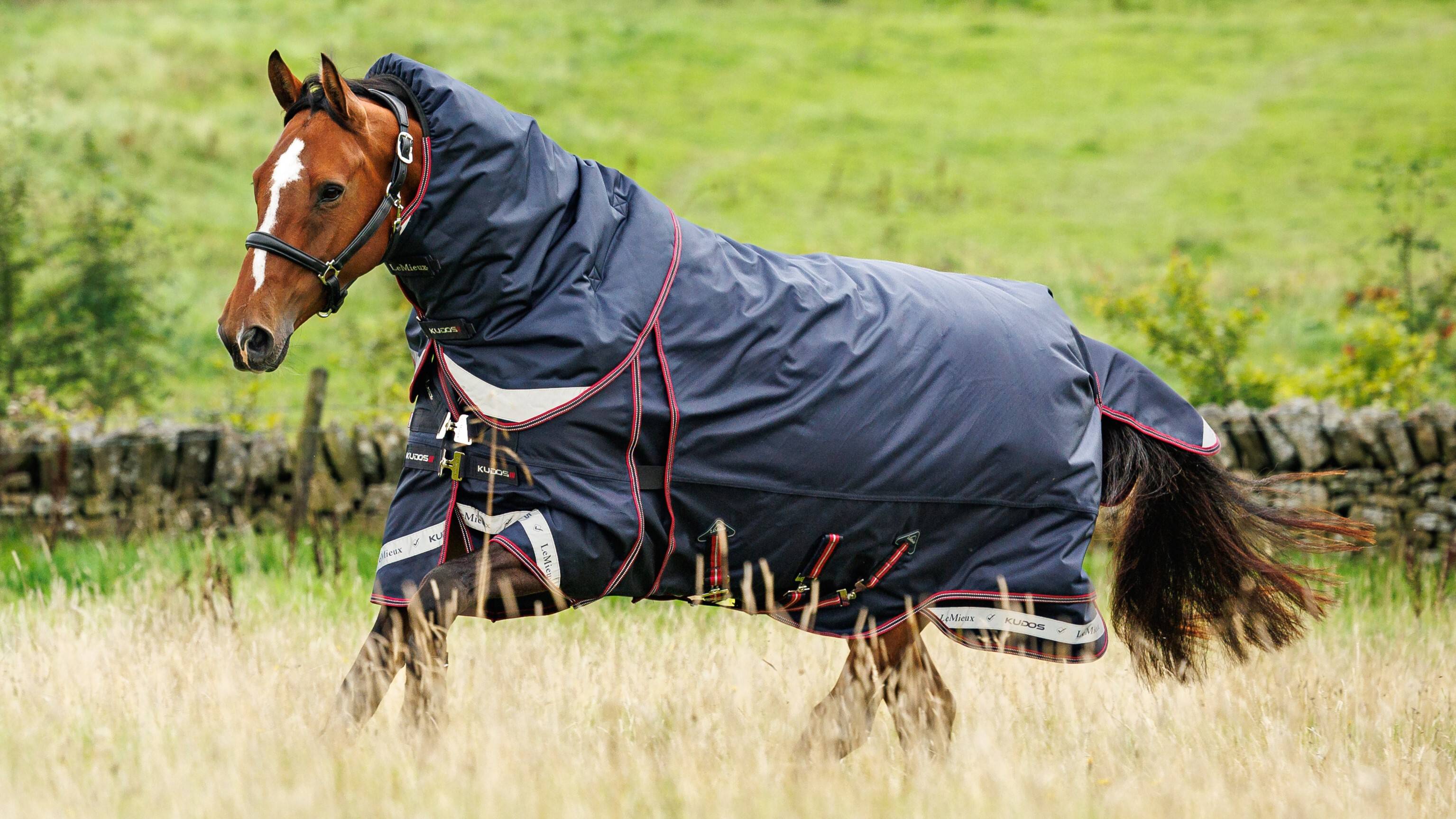 Kudos Thermo Layer Turnout Rug 300g Navy