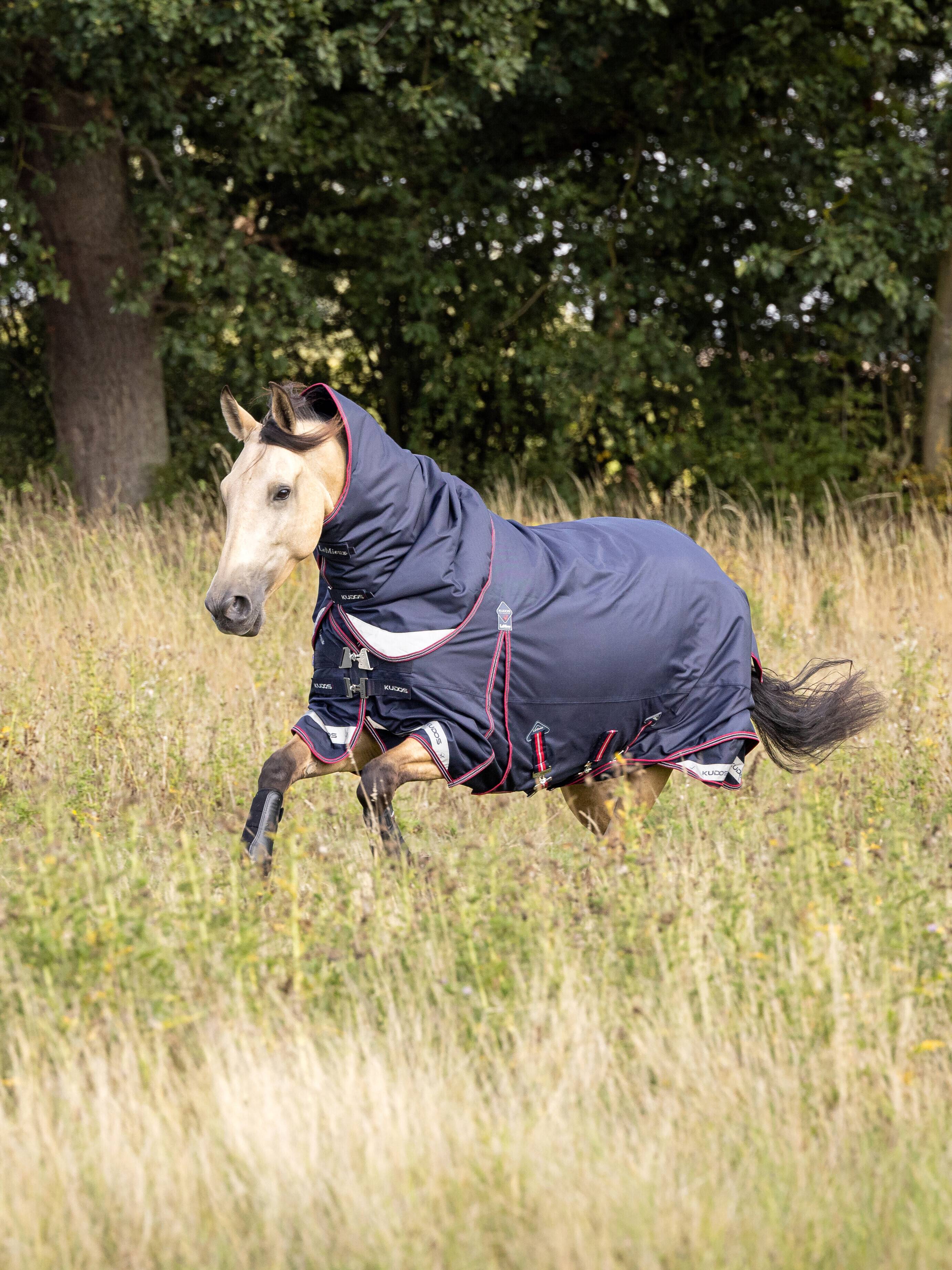 Kudos Turnout Rug 50g Navy