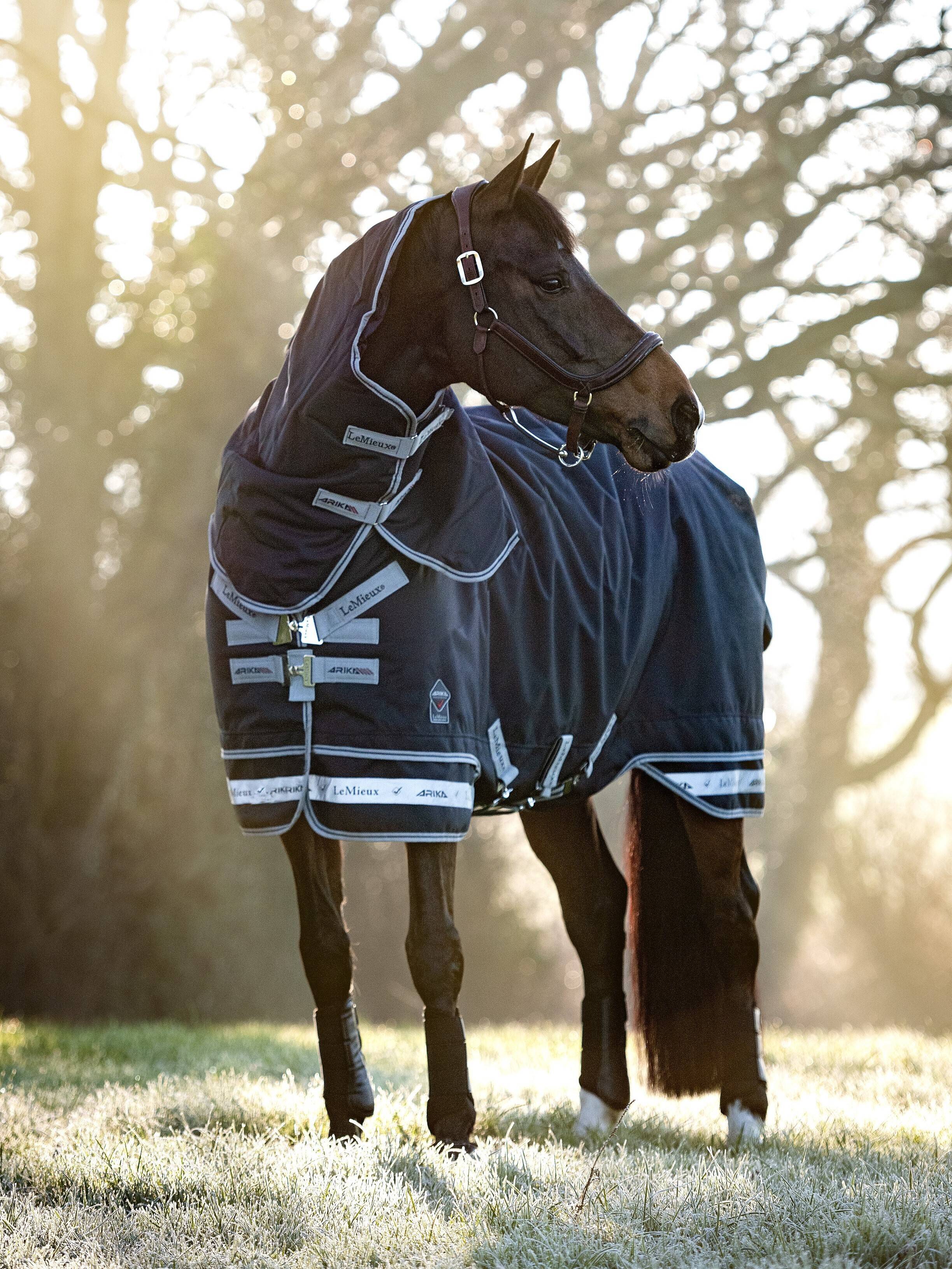 Arika Storm-Tek Rug 350g Navy
