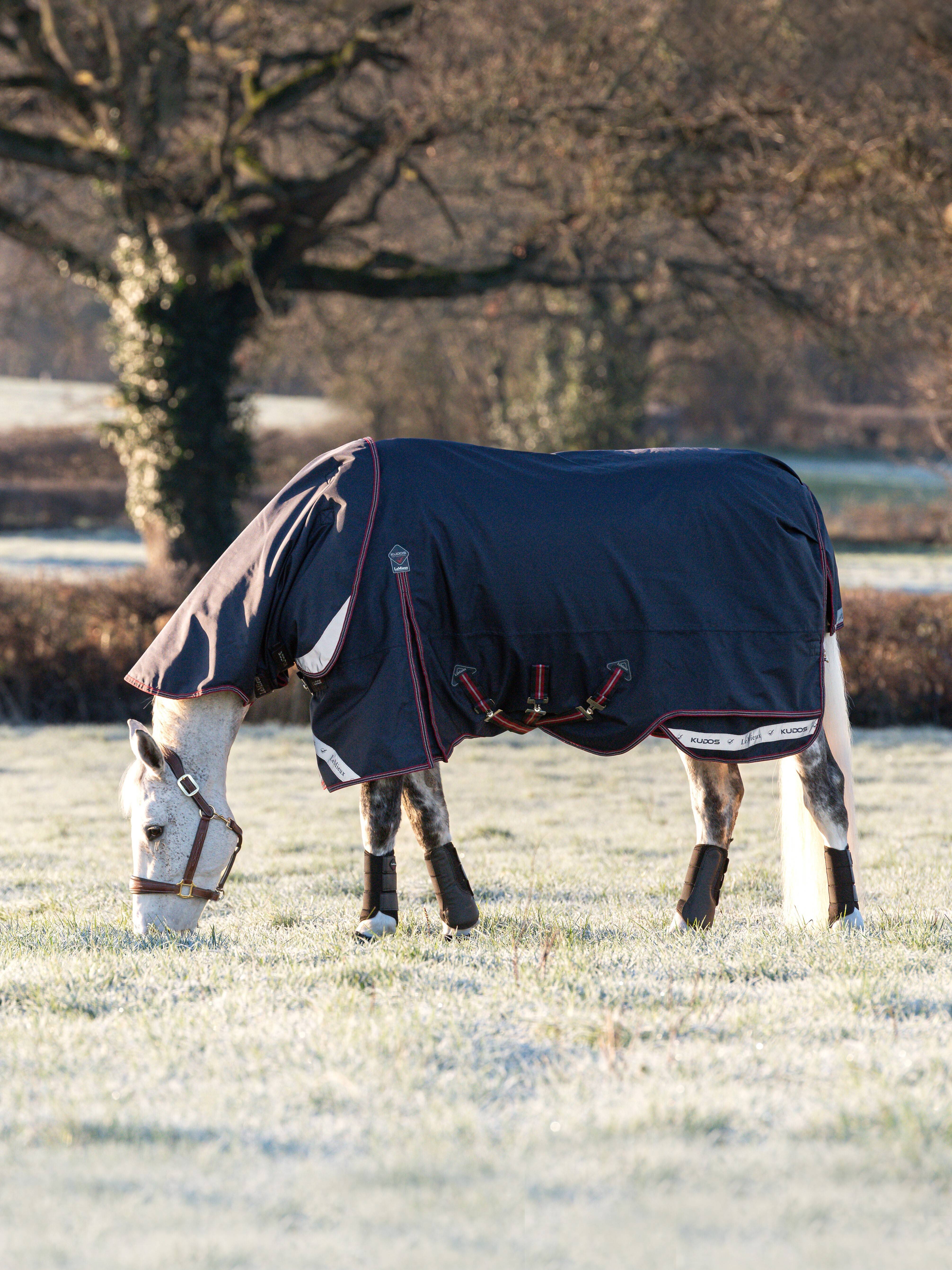 Kudos Turnout Rug 100g Navy