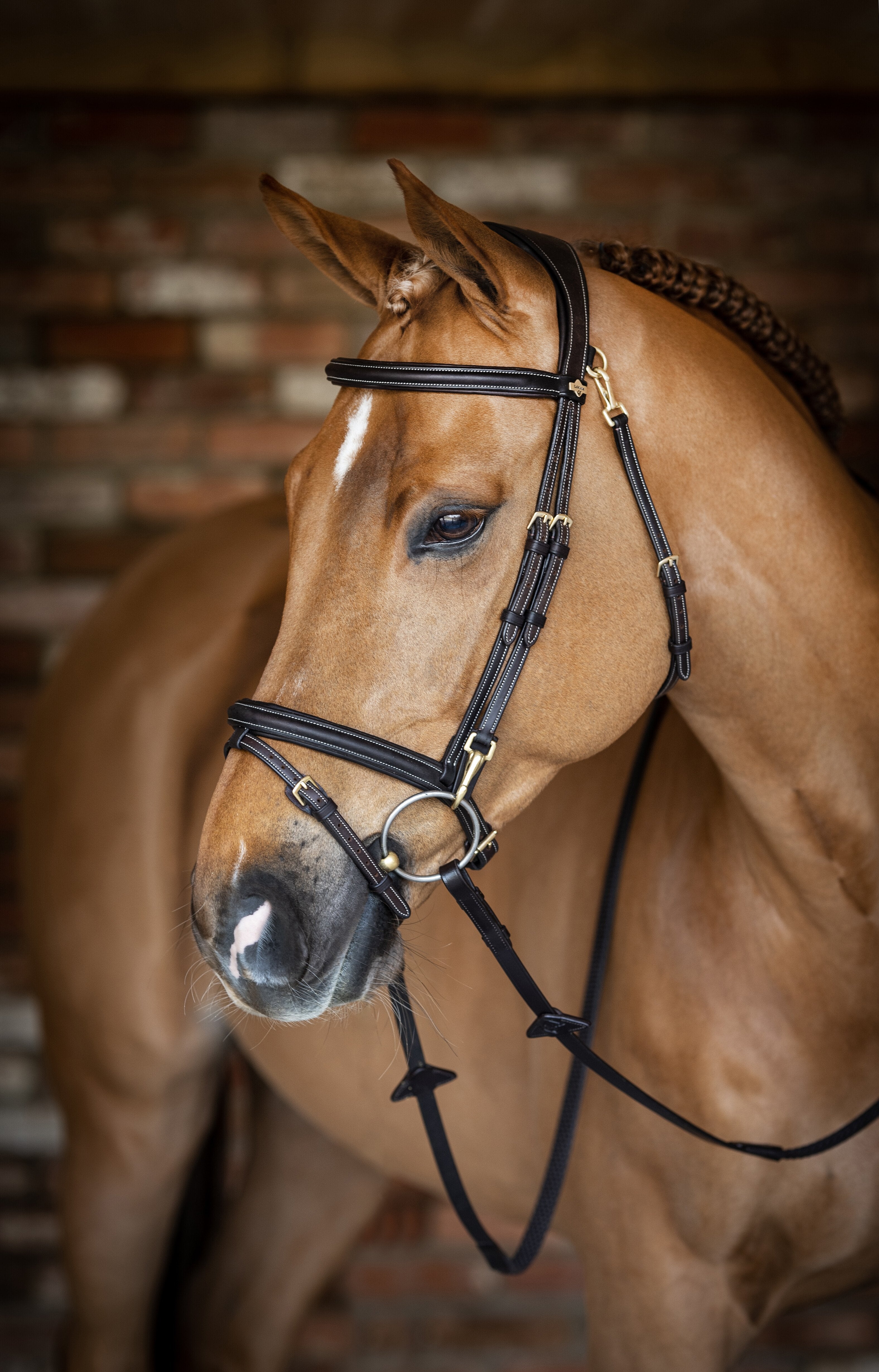 Kudos Work Hoofdstel Bruin