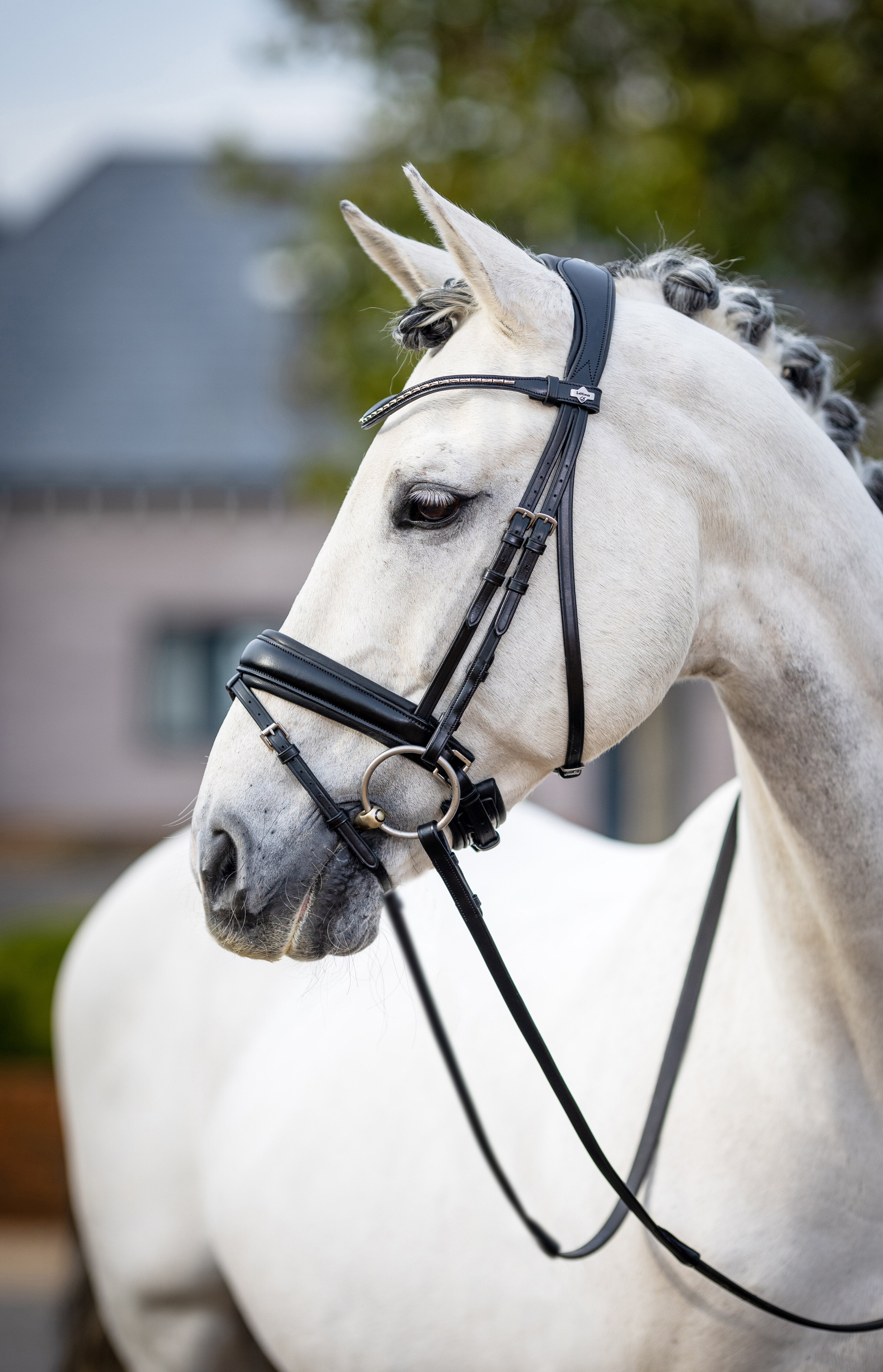 Kudos Classic Dressuur Hoofdstel Zwart