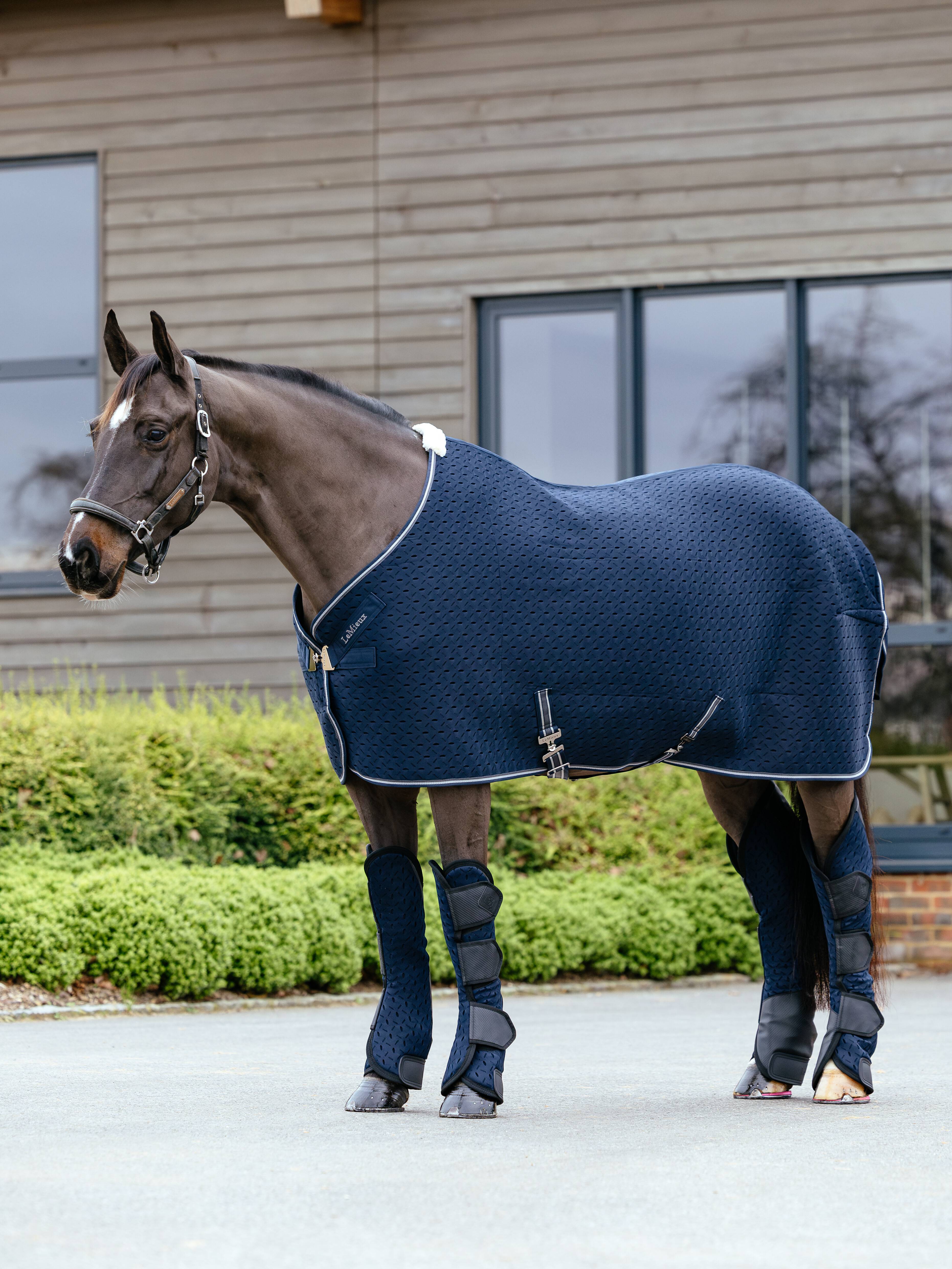 Kudos 3D Mesh Travel Rug Navy
