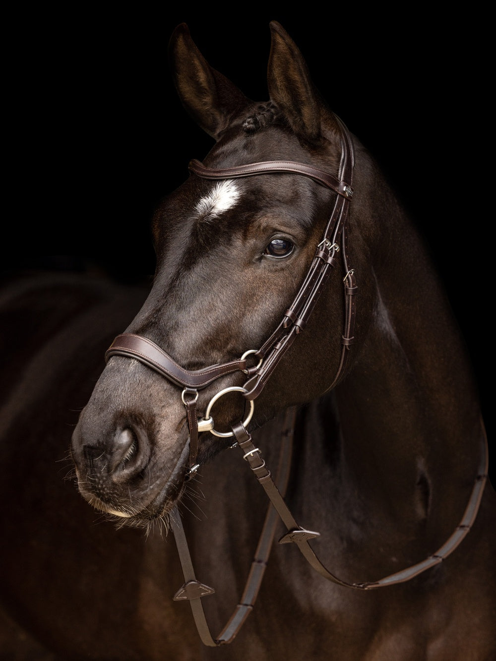 Arika Drop Hoofdstel Bruin/Zilver