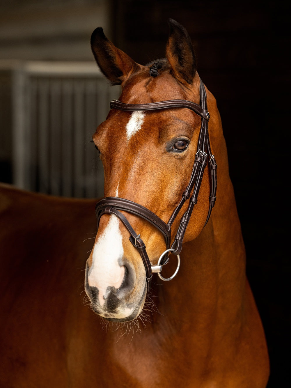 Arika Flash Hoofdstel Bruin/Zilver