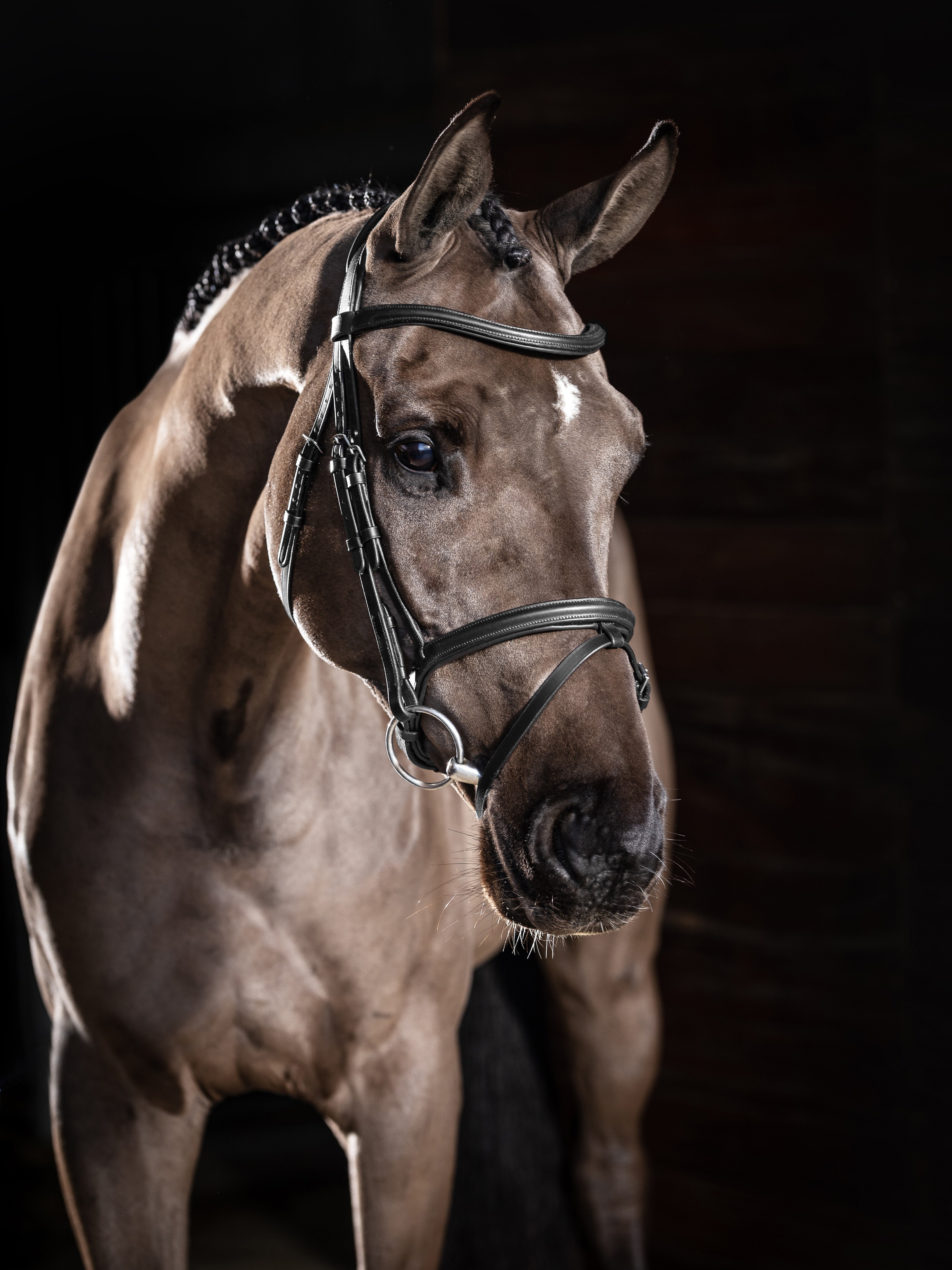 Arika Flash Hoofdstel Zwart/Zilver