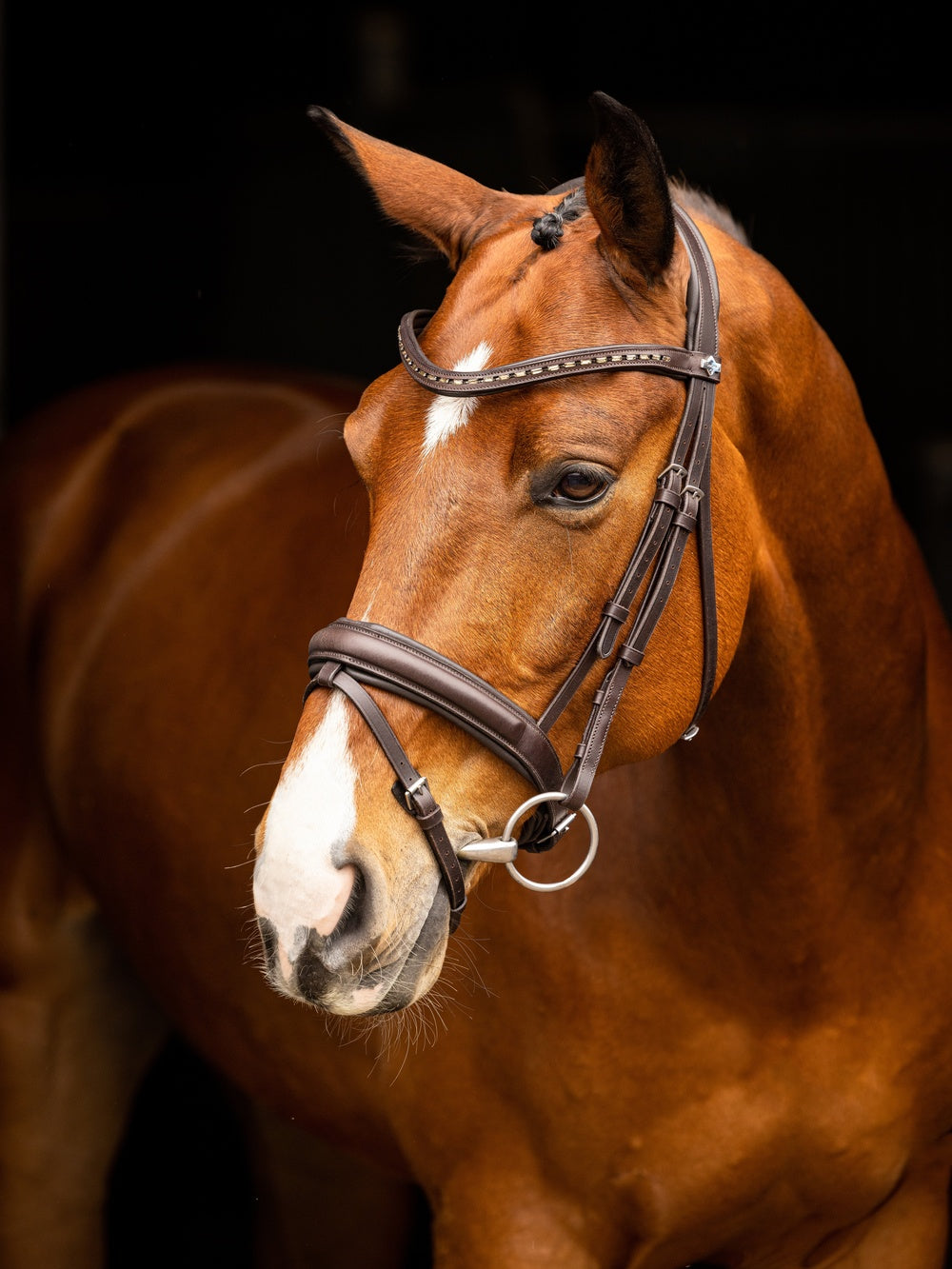 Arika Dressuur Hoofdstel Bruin/Zilver
