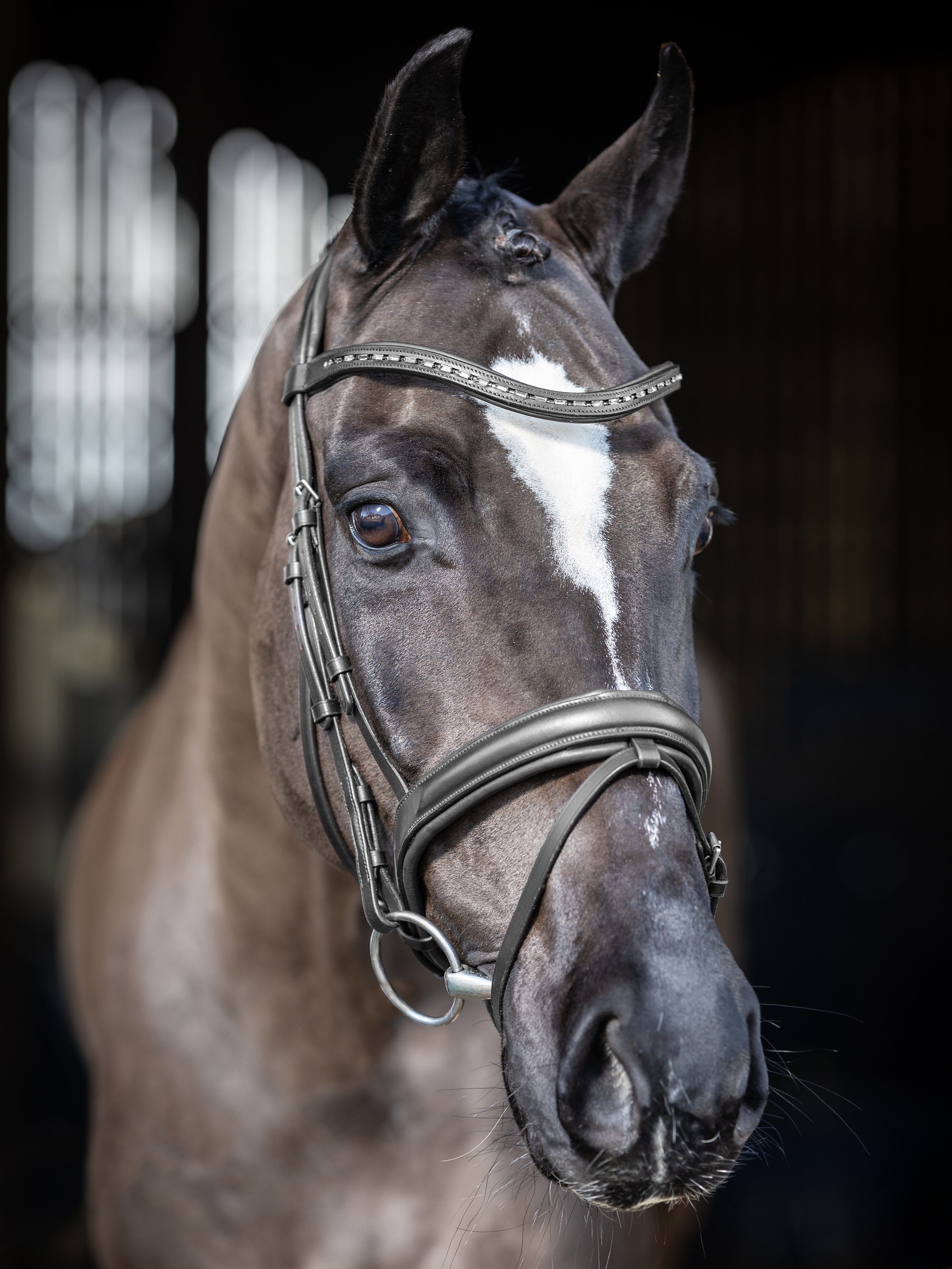 Arika Dressage Hoofdstel Zwart/Zilver