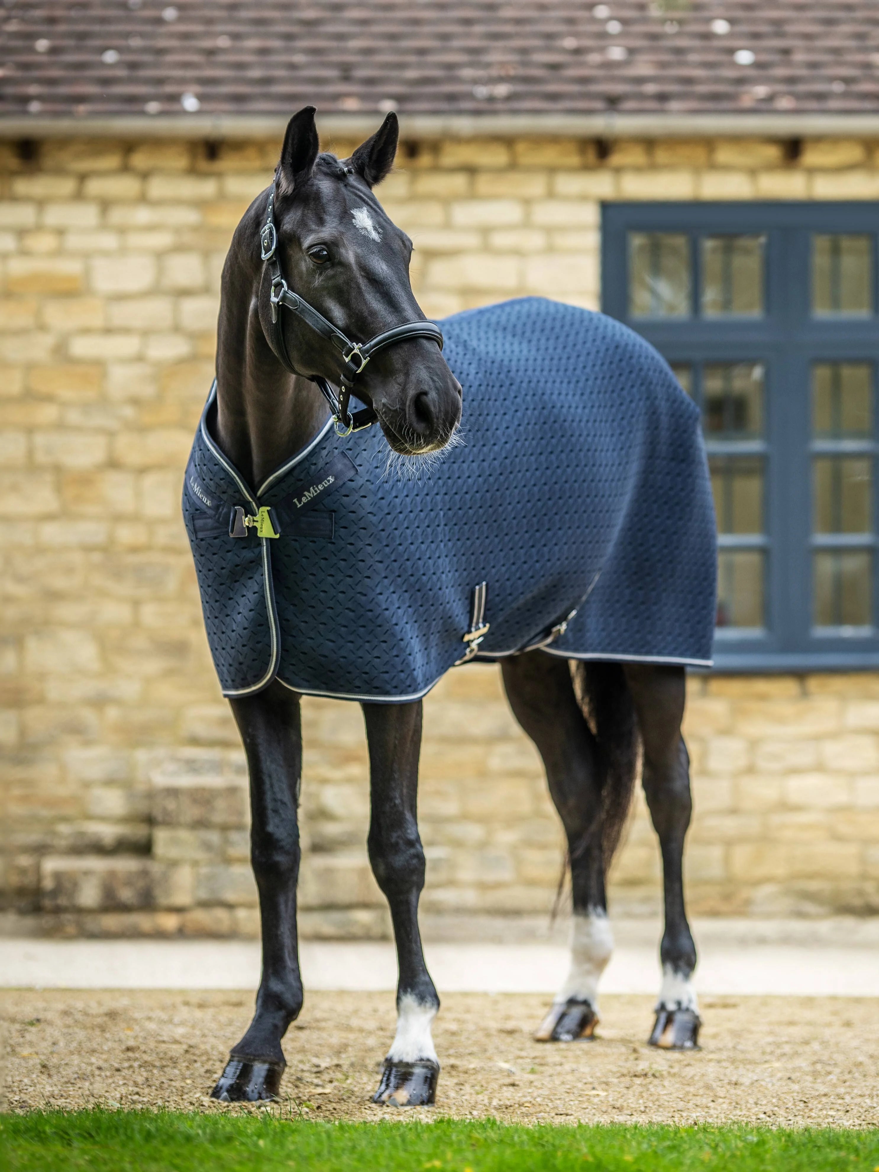 Kudos 3D Mesh Travel Rug Navy