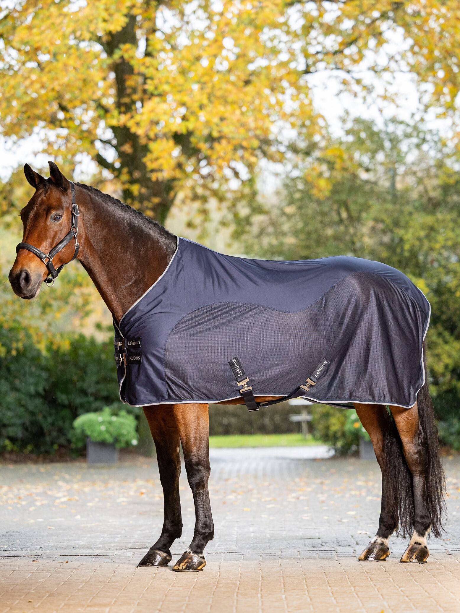 Kudos Hybrid Cooler Navy