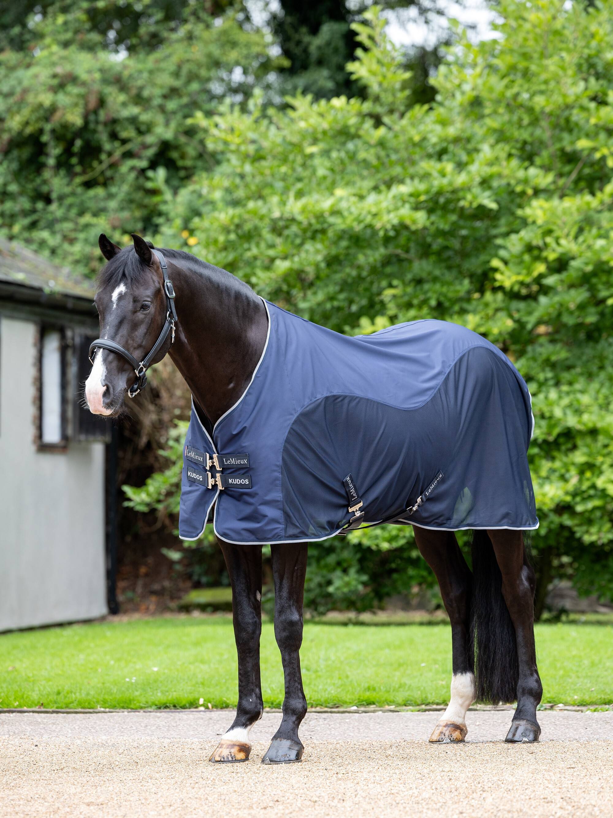 Kudos Hybrid Cooler Navy