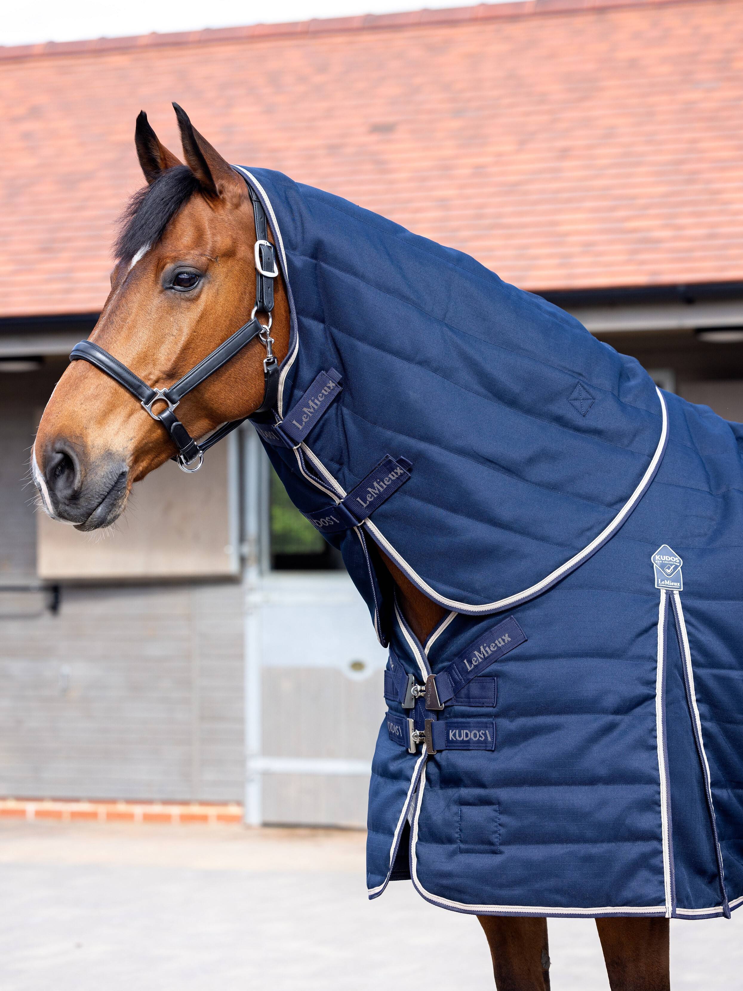 Halsstuk voor Kudos Staldeken 100 g Navy