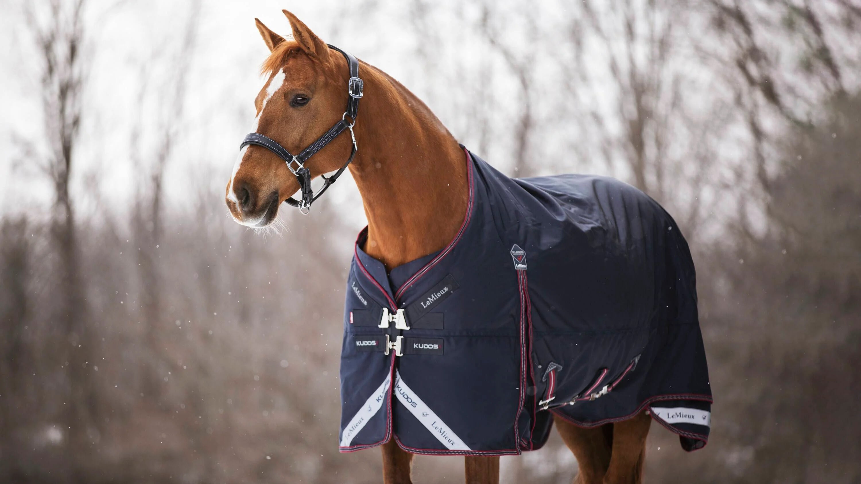 Kudos Turnout Rug 350g Navy