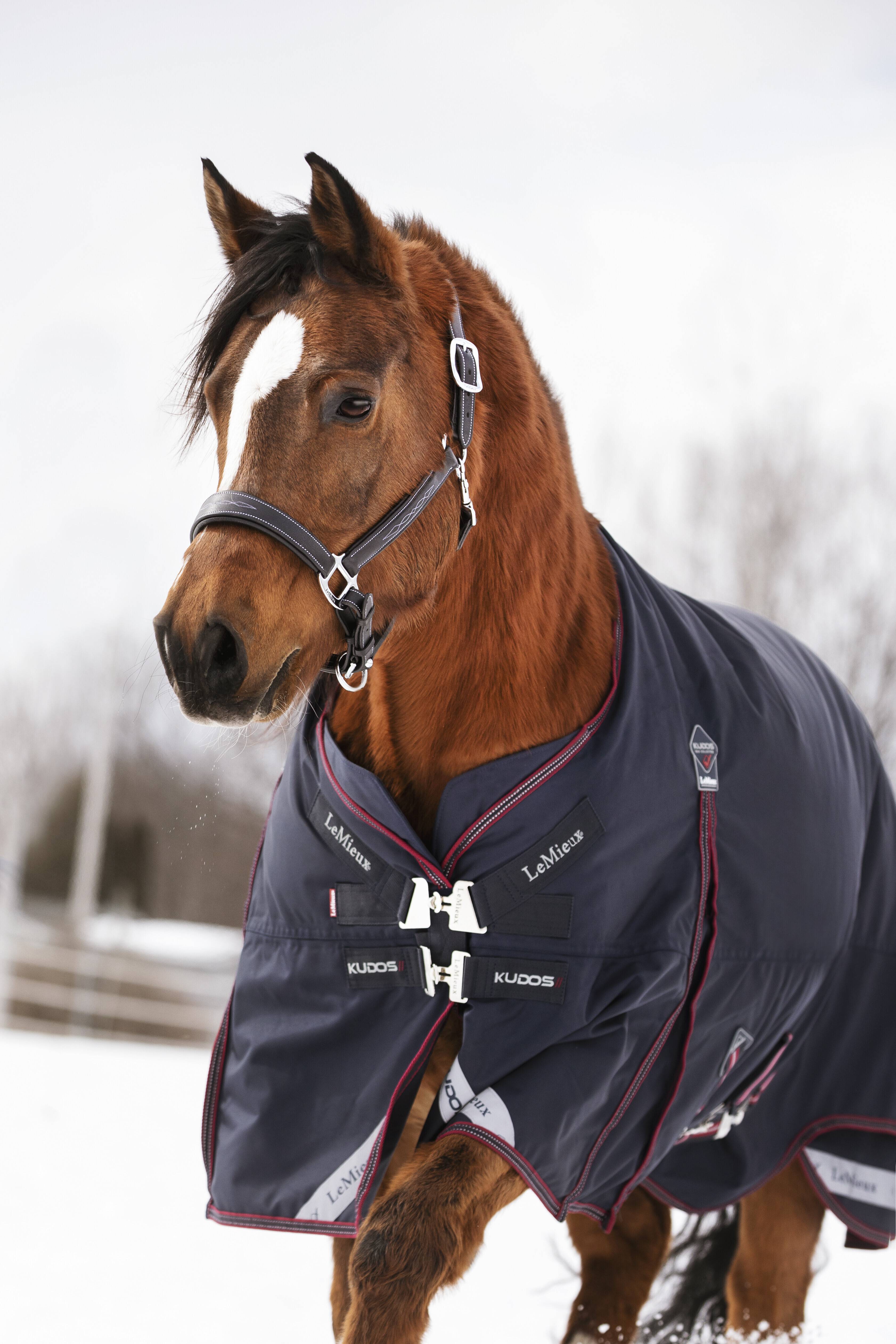 Kudos Turnout Rug 200g Navy