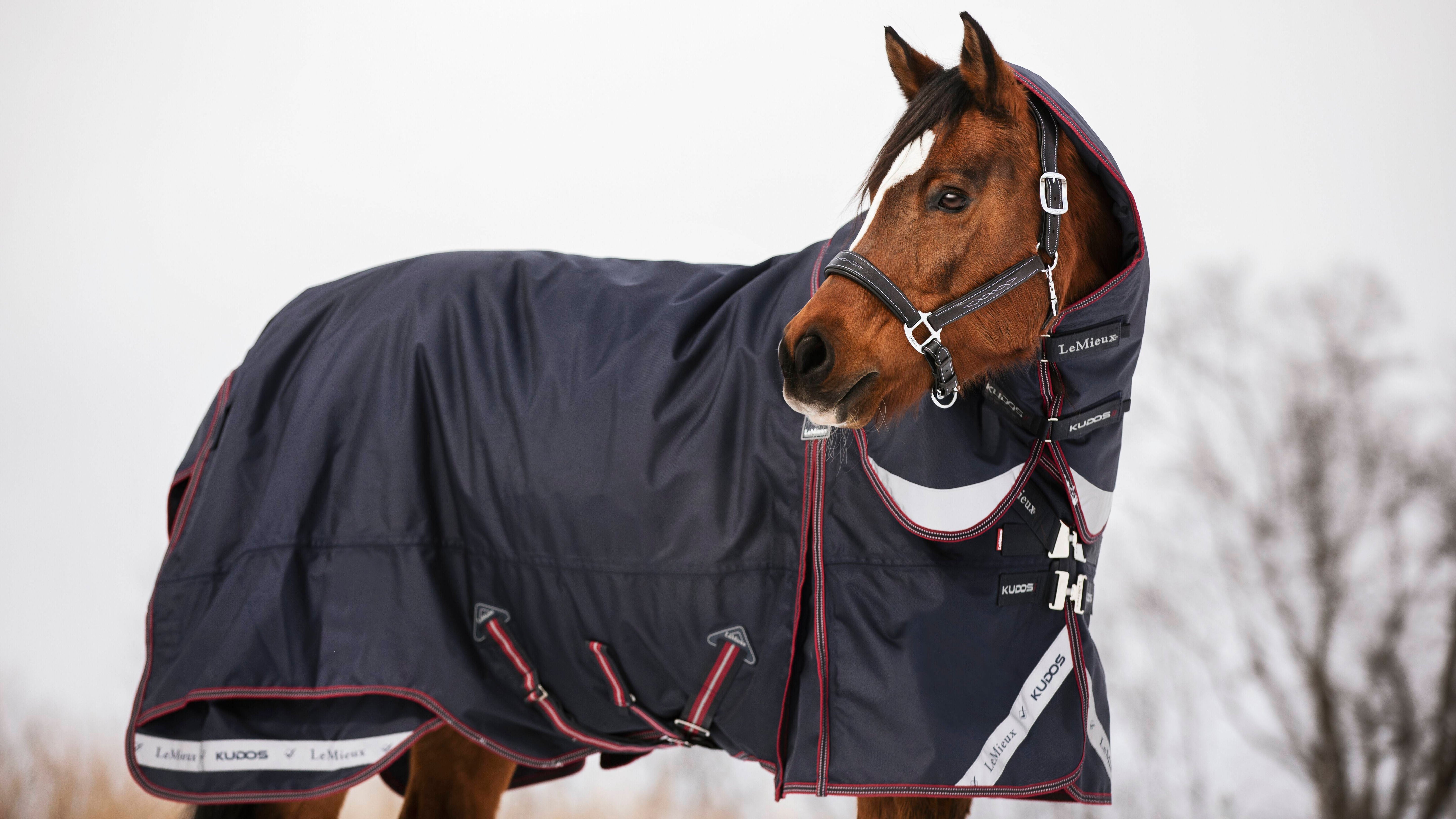 Kudos Turnout Rug 200g Navy