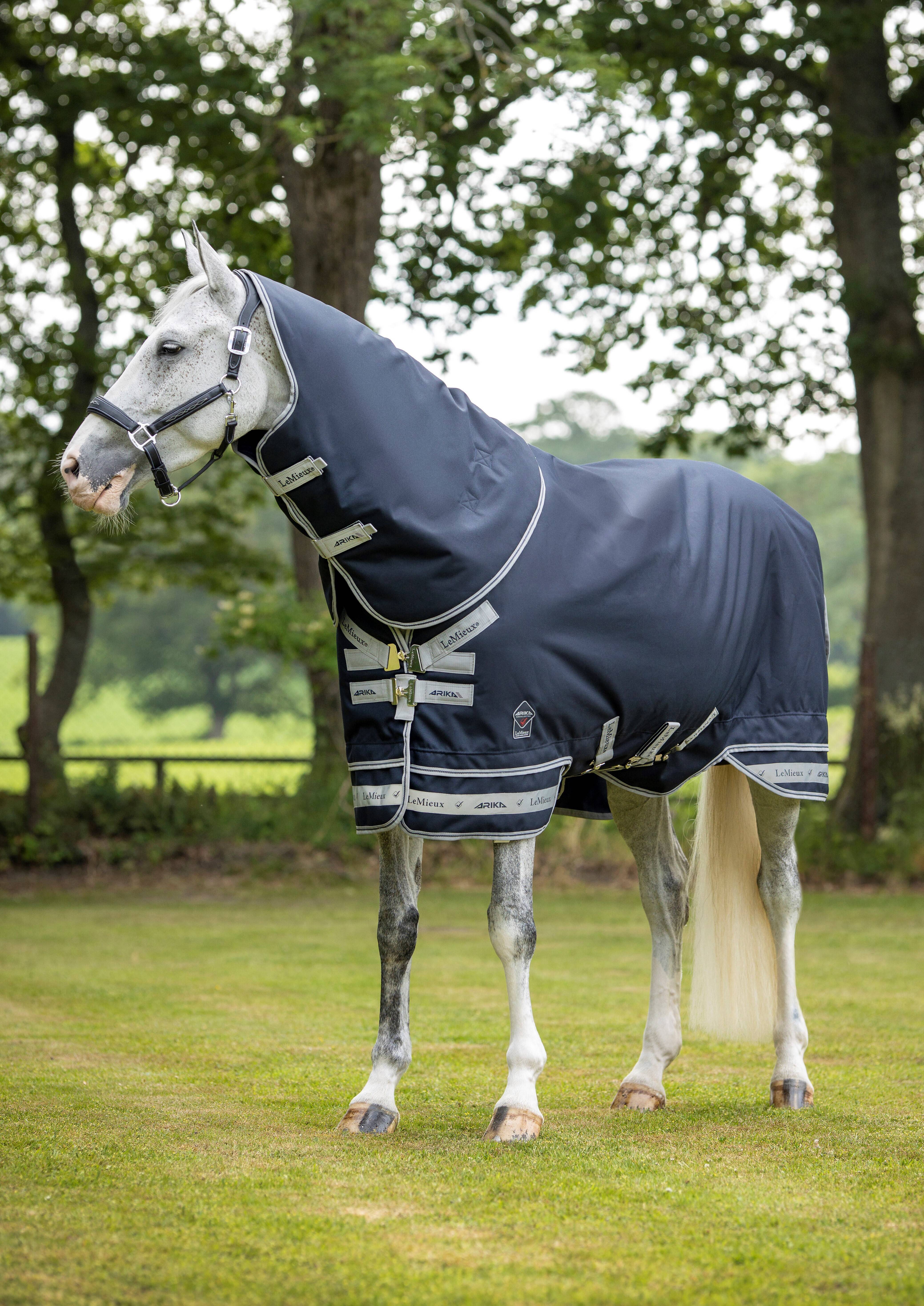 Arika Featherweight Rug 0g Navy